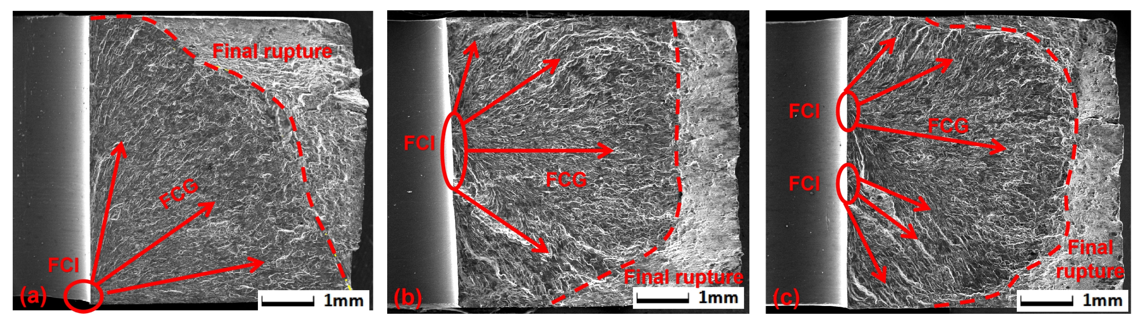 Metals 14 00597 g016