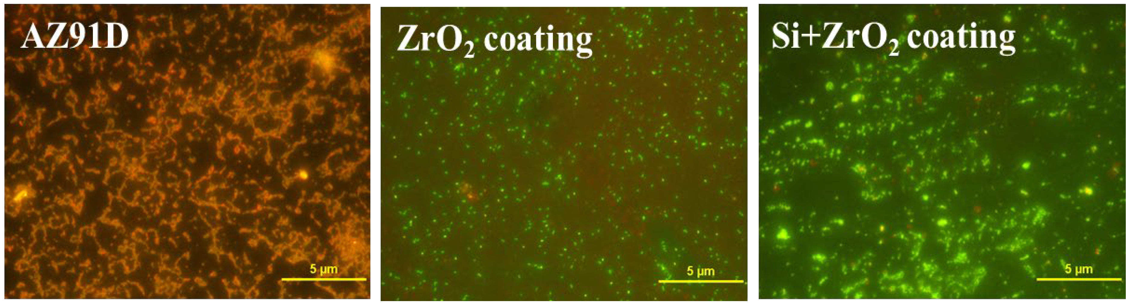 Metals 14 00607 g012