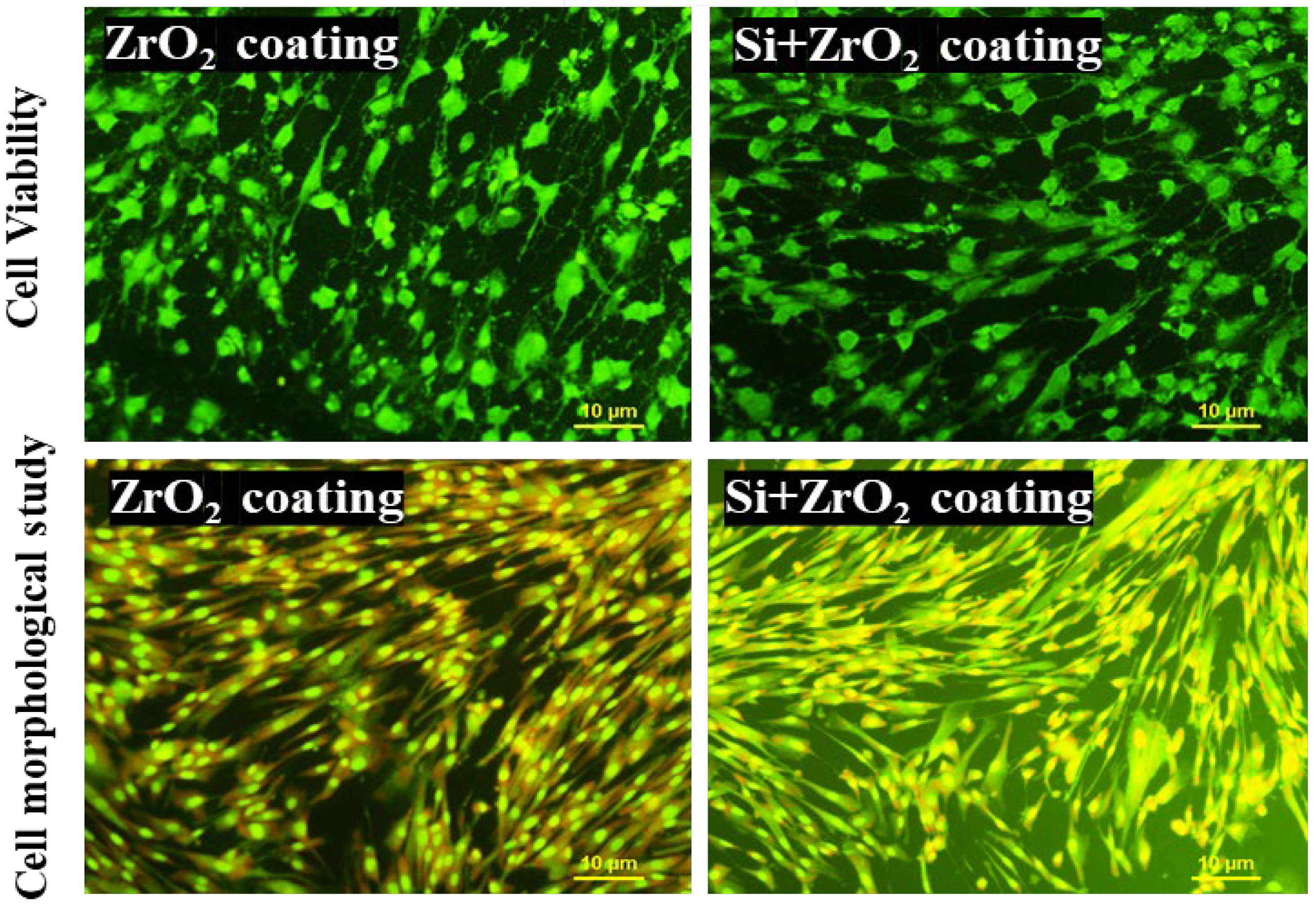 Metals 14 00607 g014