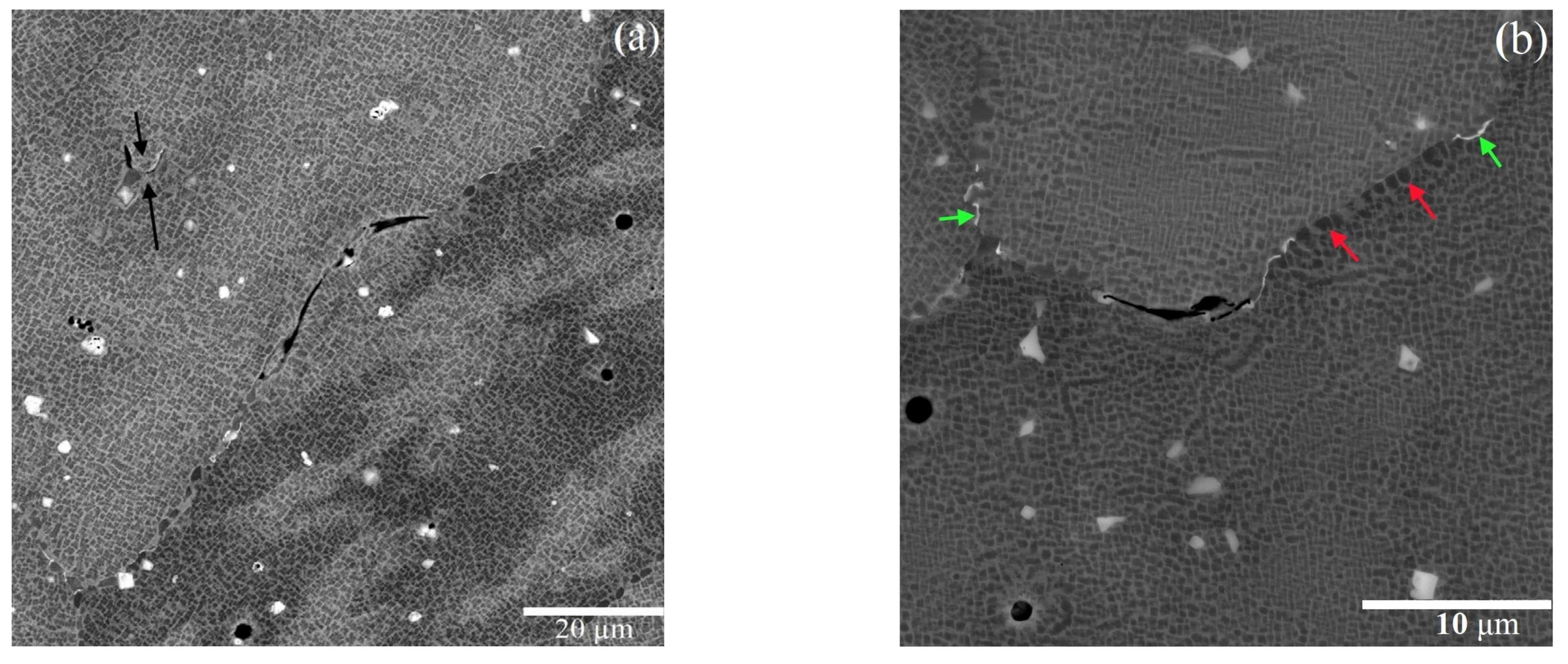 Metals 14 00610 g006