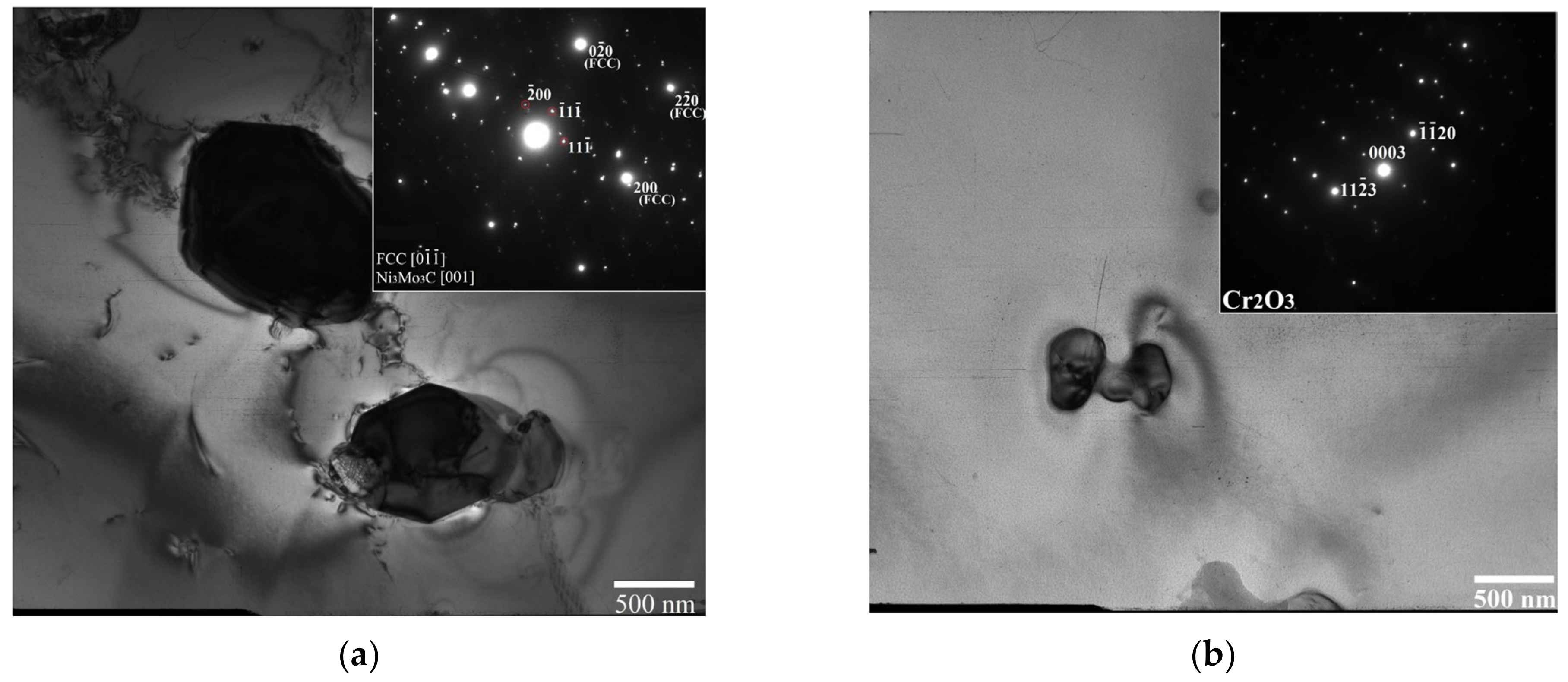 Metals 14 00610 g009