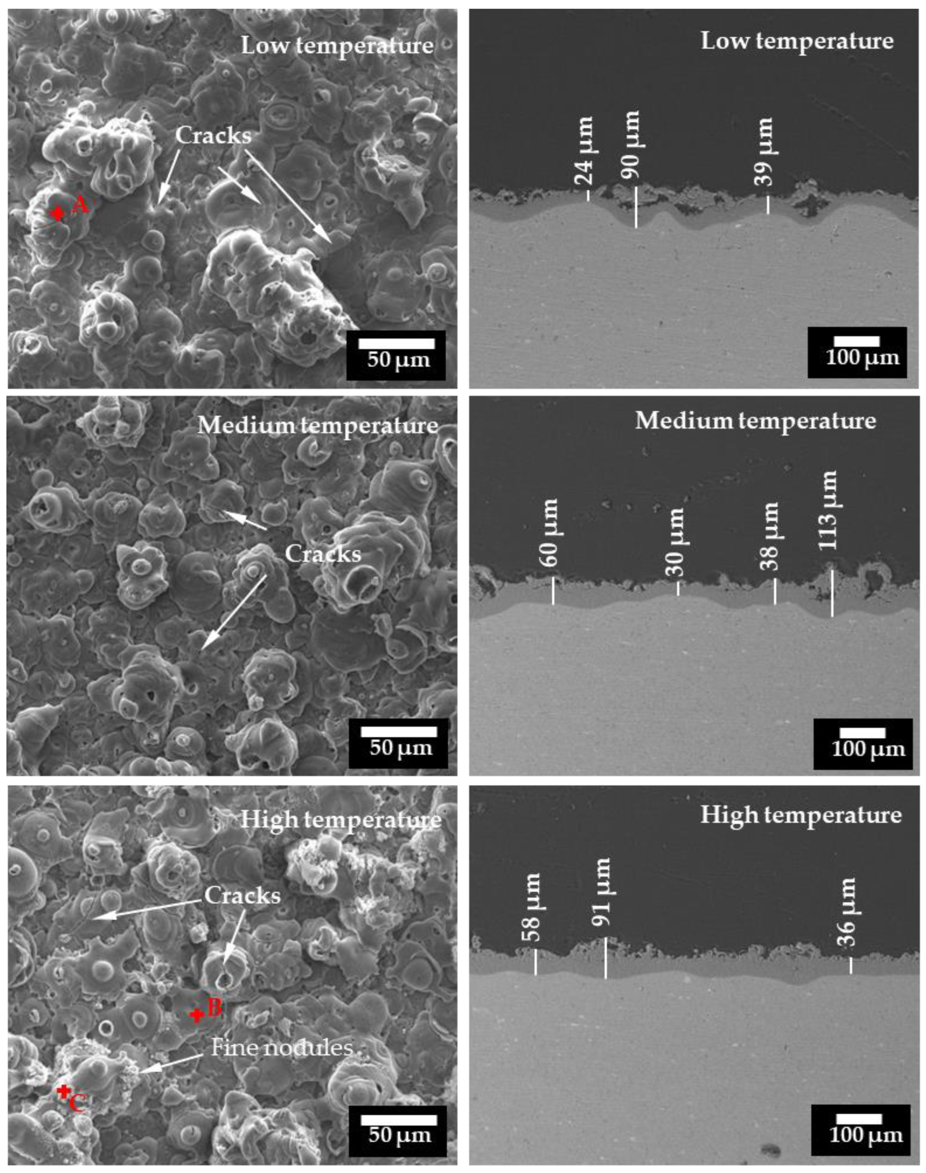 Metals 14 00615 g006