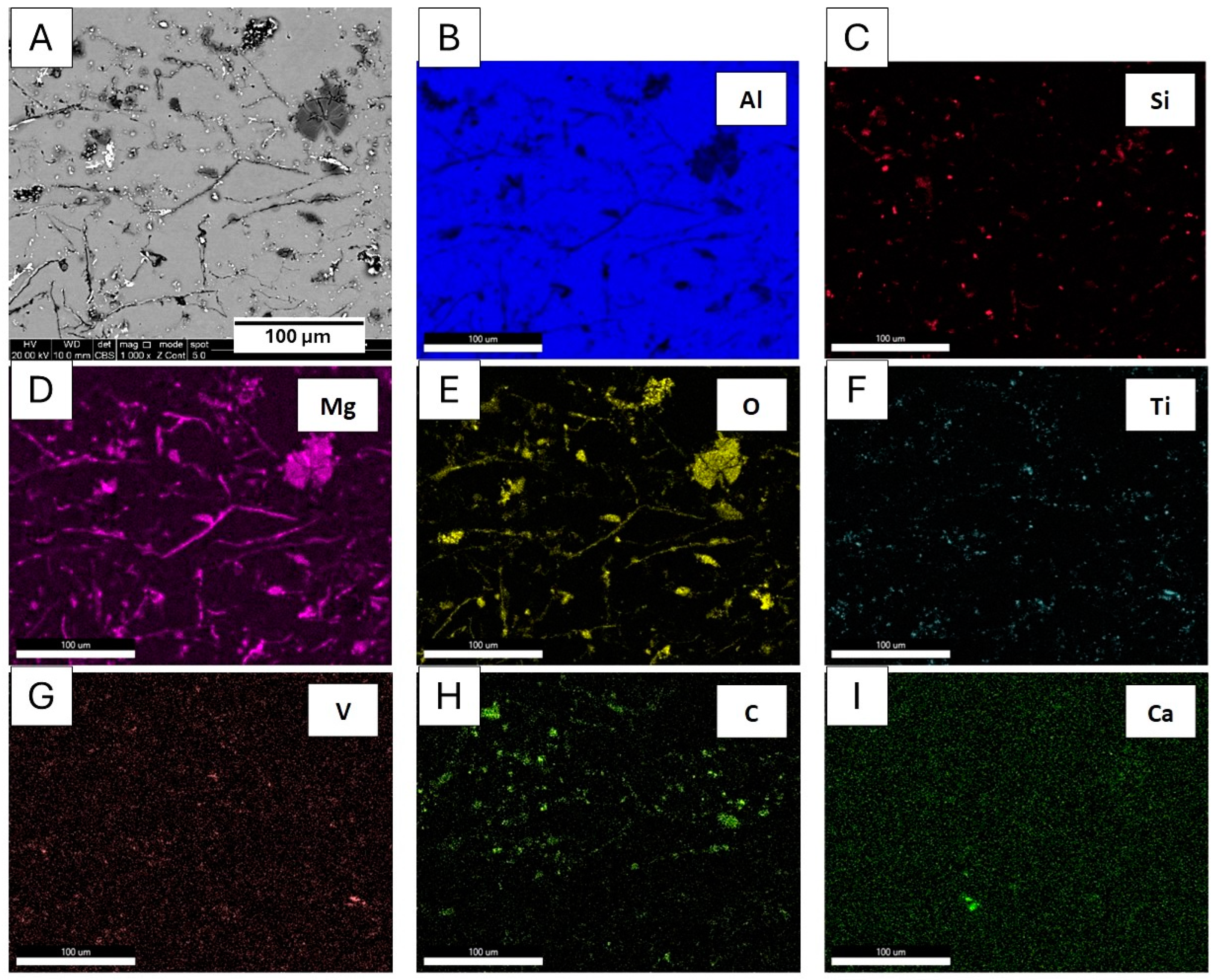 Metals 14 00626 g013