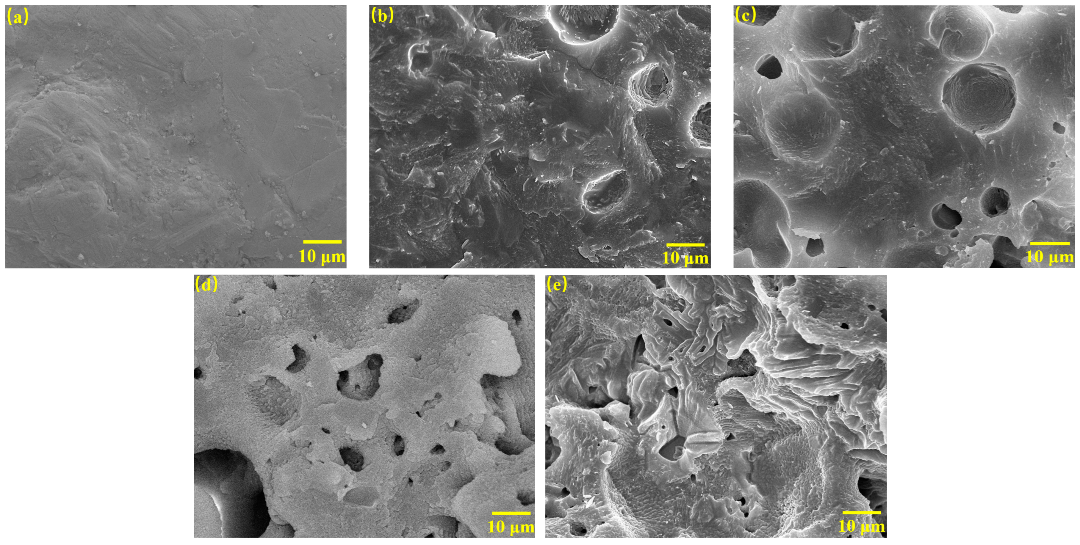 Metals 14 00628 g010