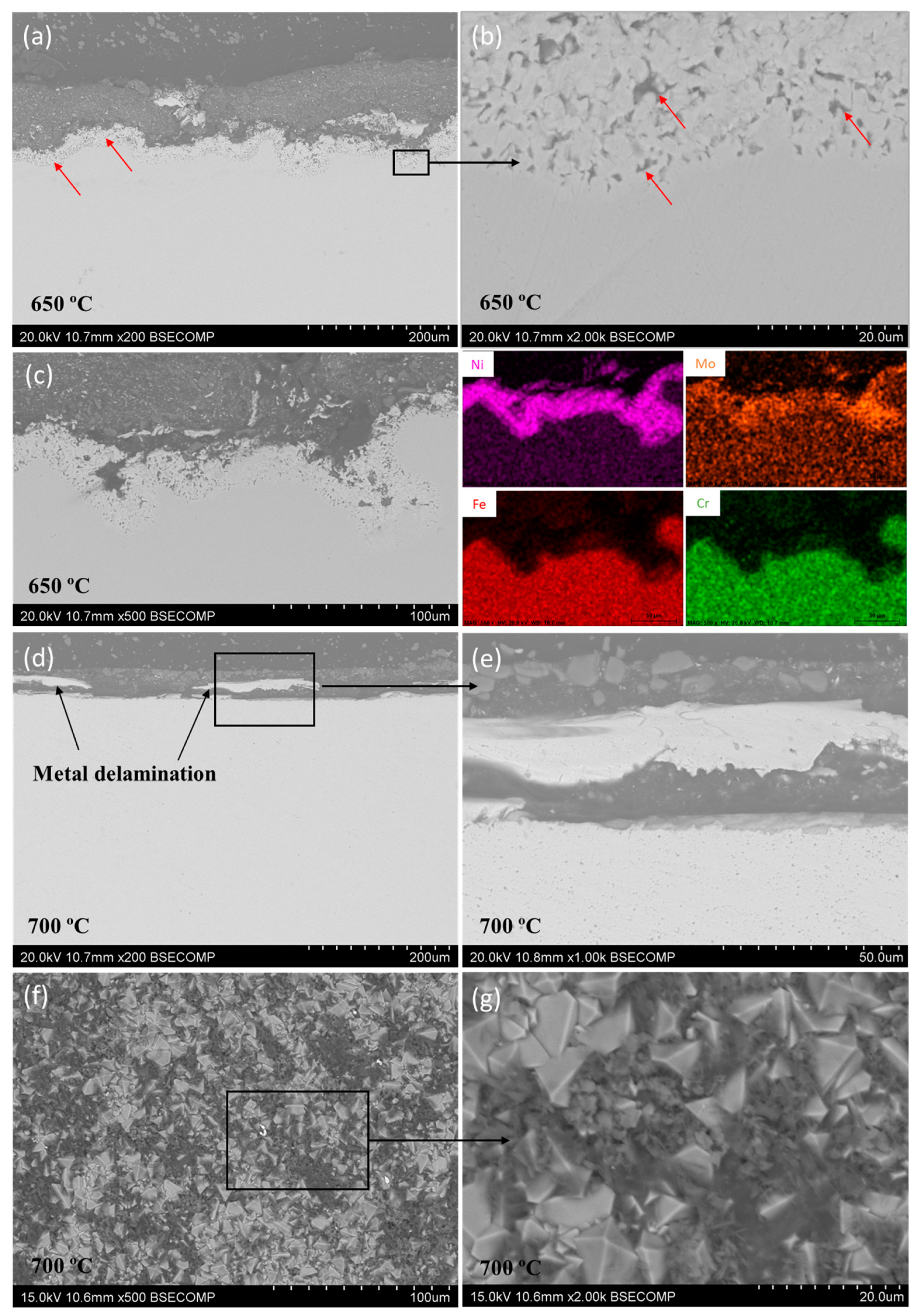 Metals 14 00639 g008