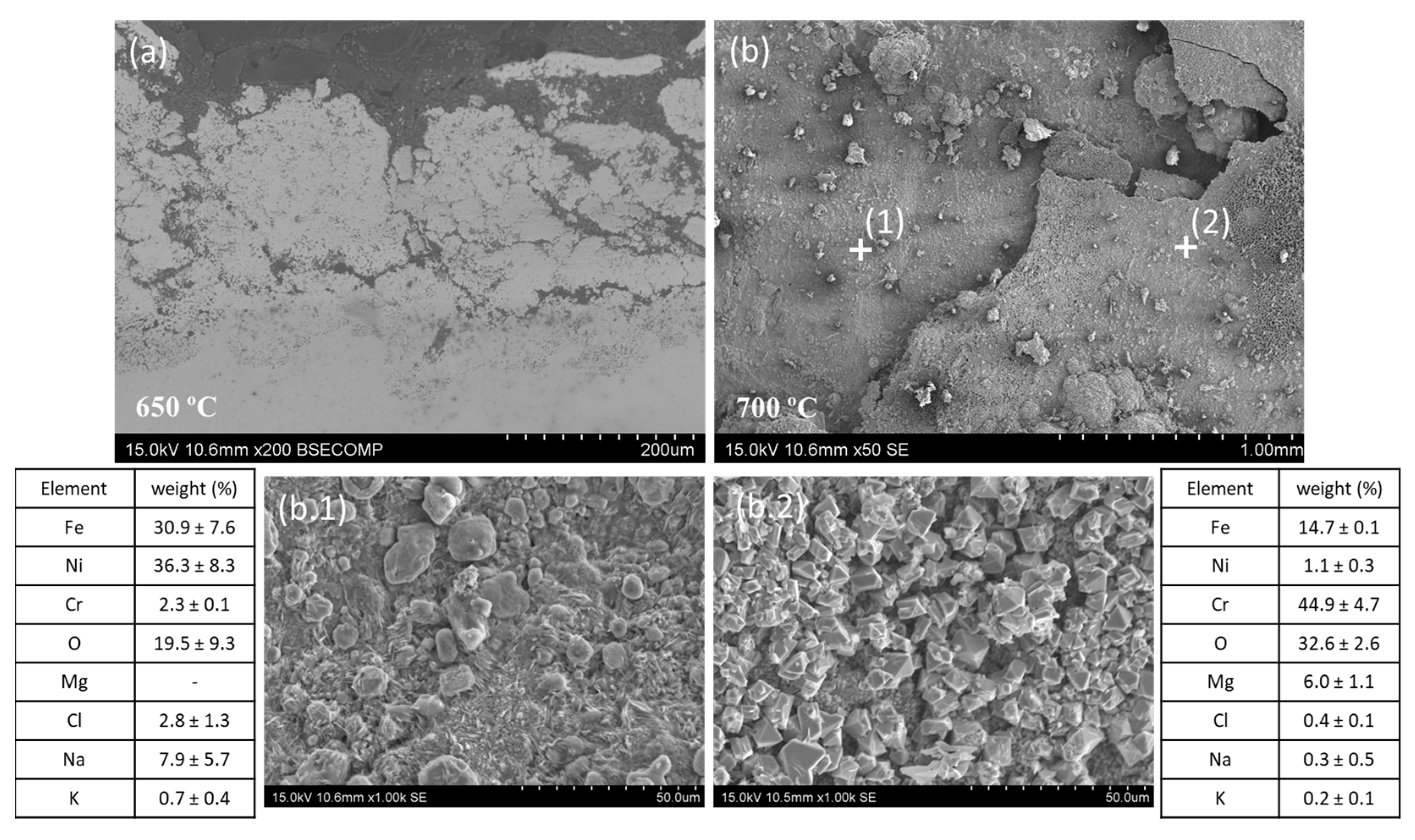 Metals 14 00639 g009