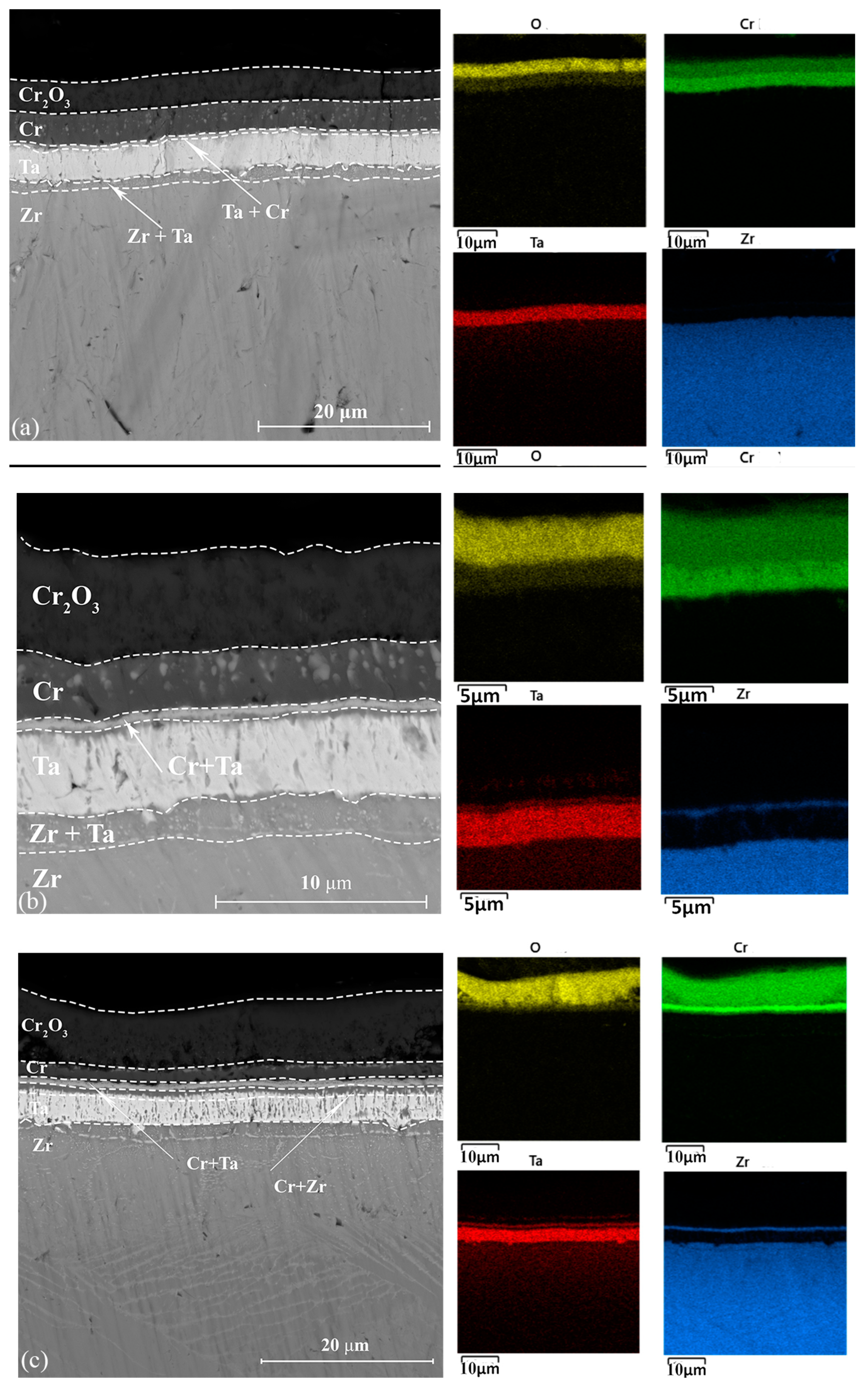 Metals 14 00645 g007