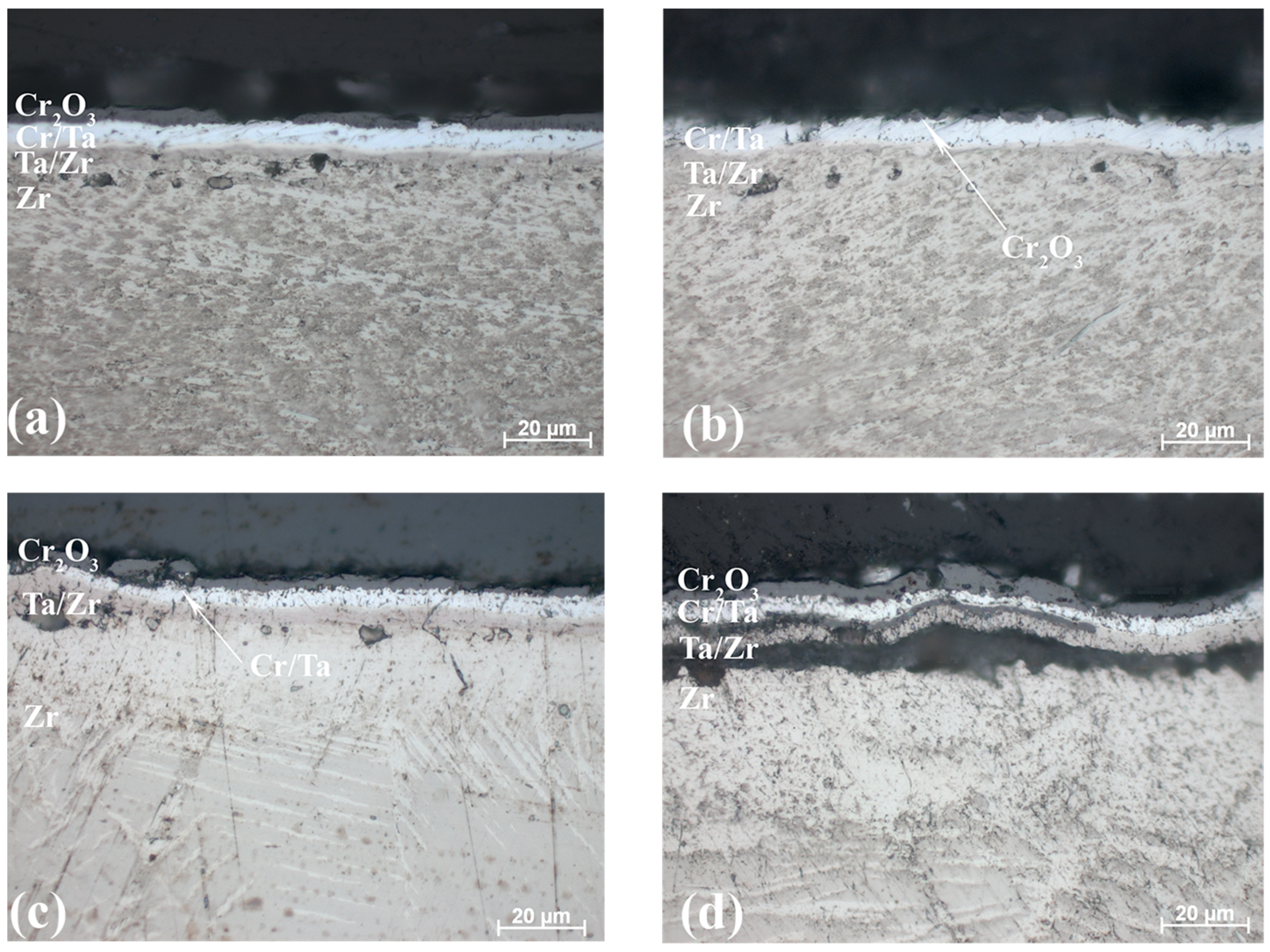 Metals 14 00645 g008