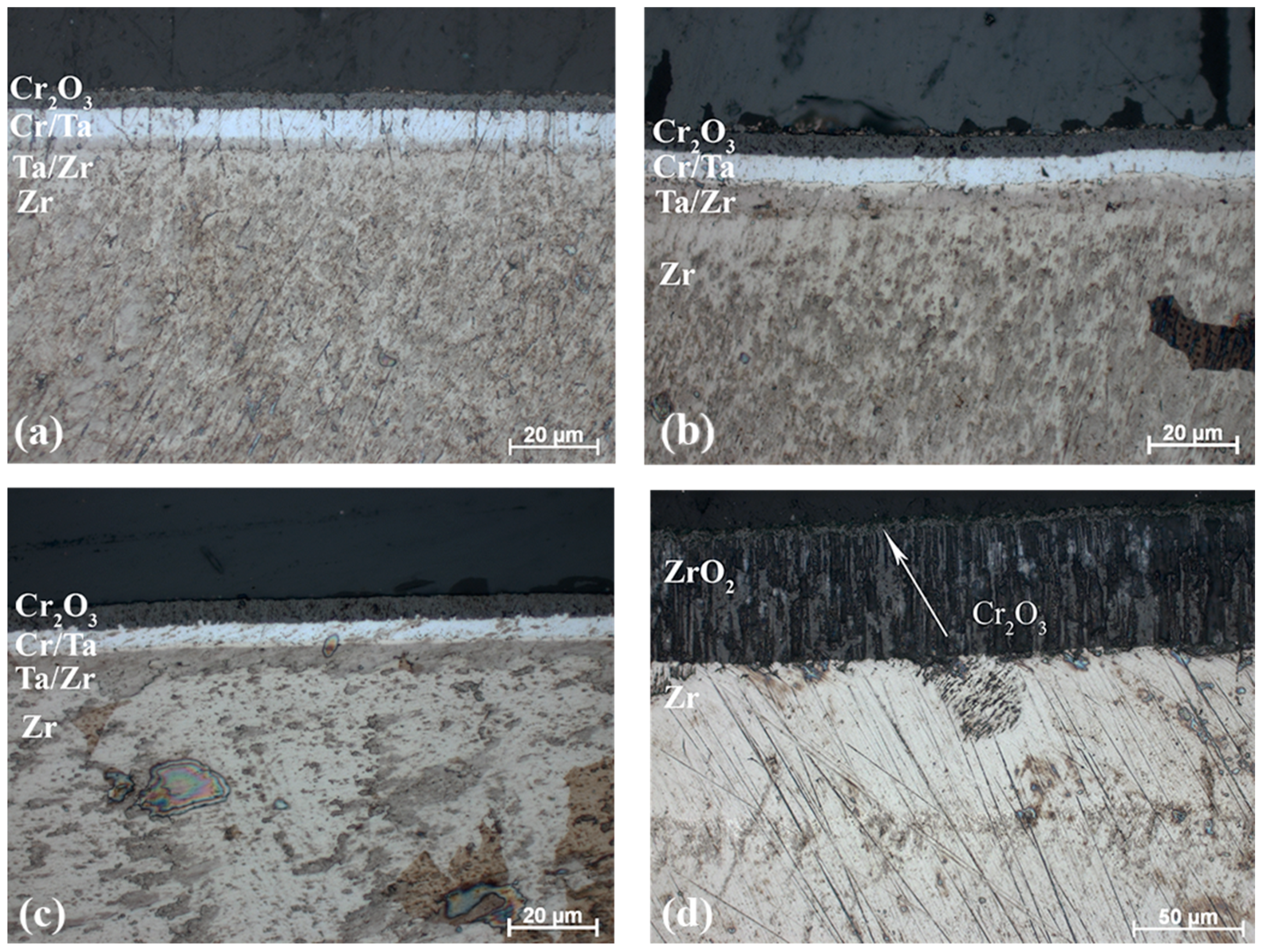 Metals 14 00645 g009