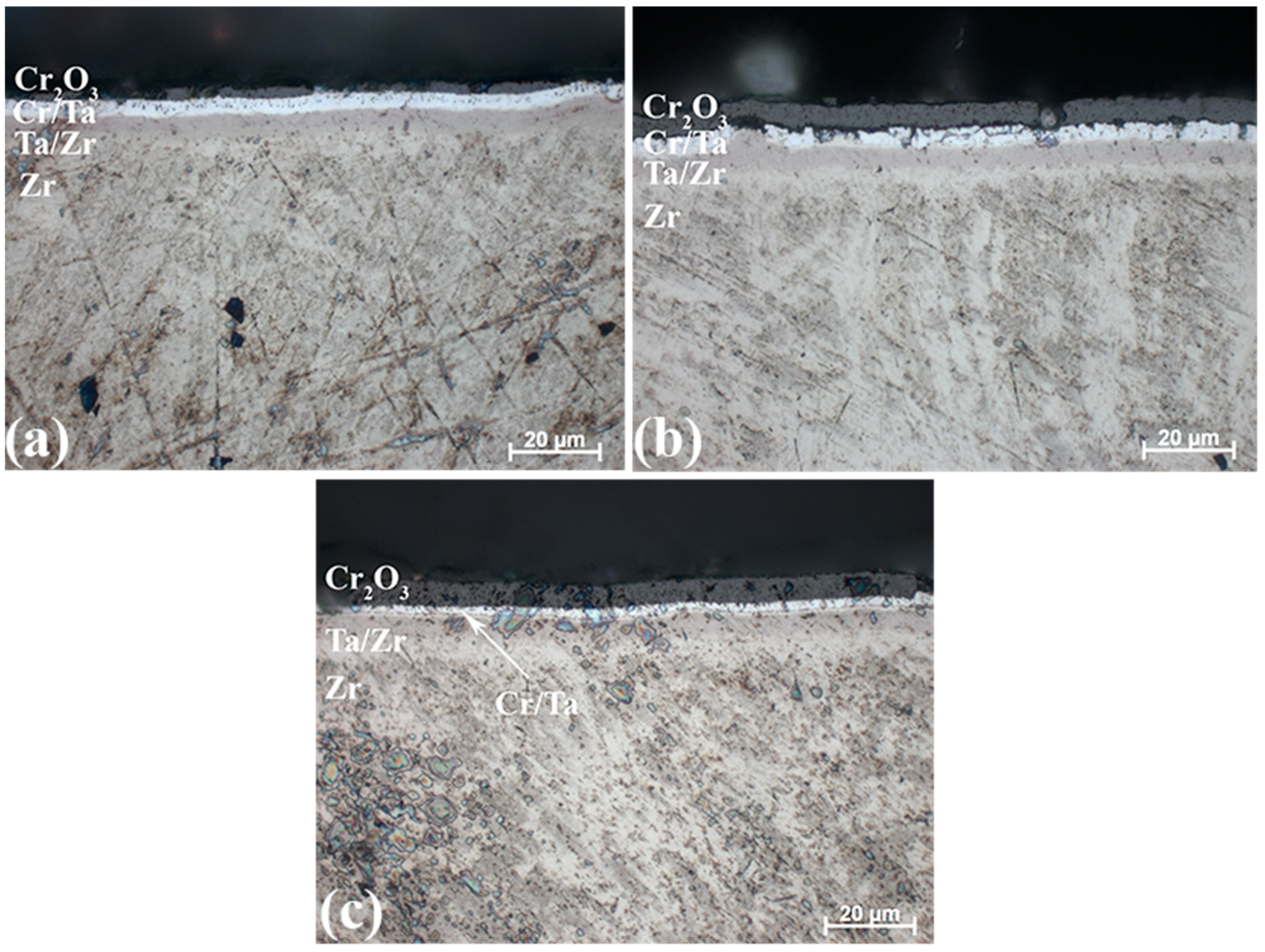 Metals 14 00645 g010