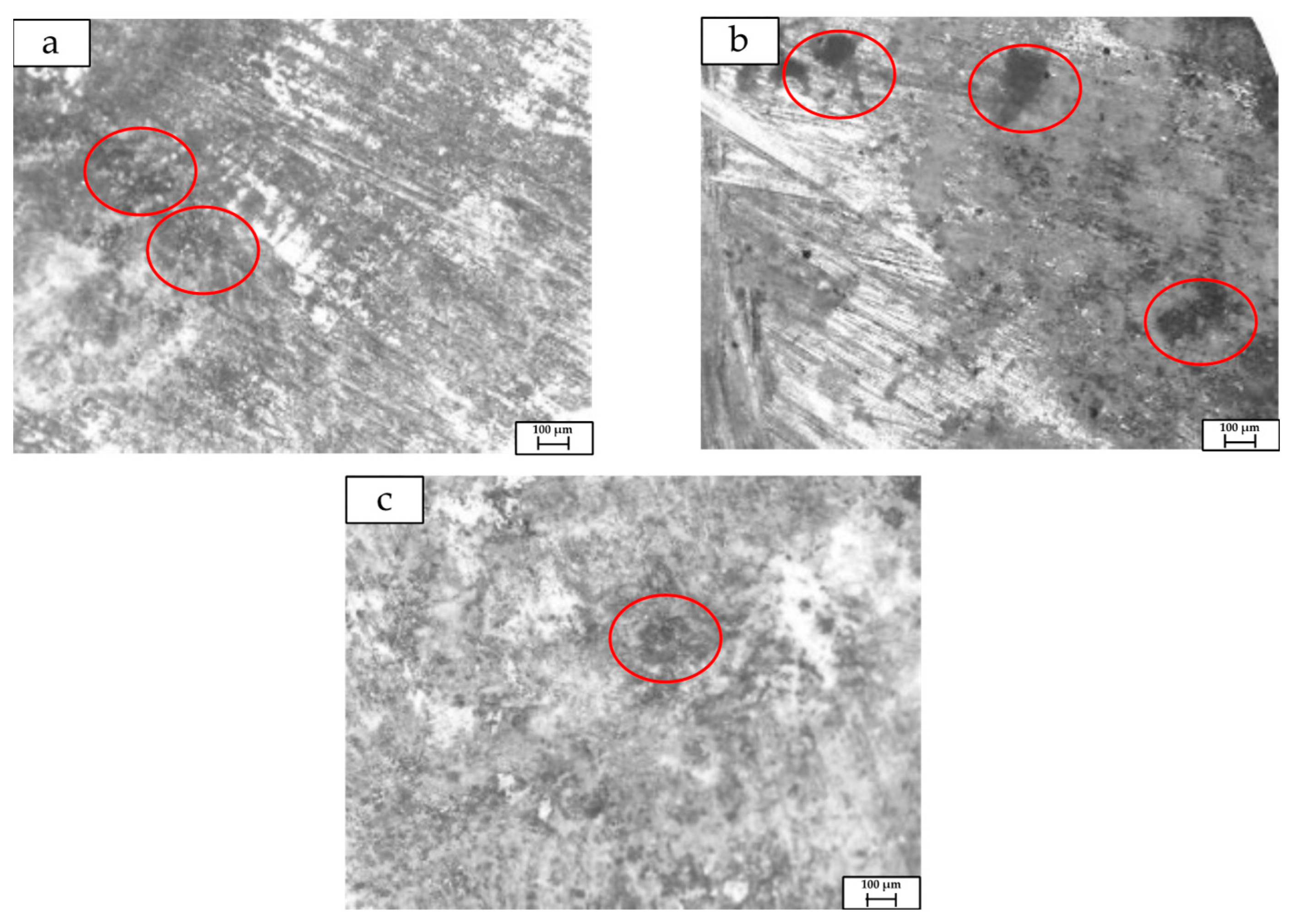 Metals 14 00655 g006