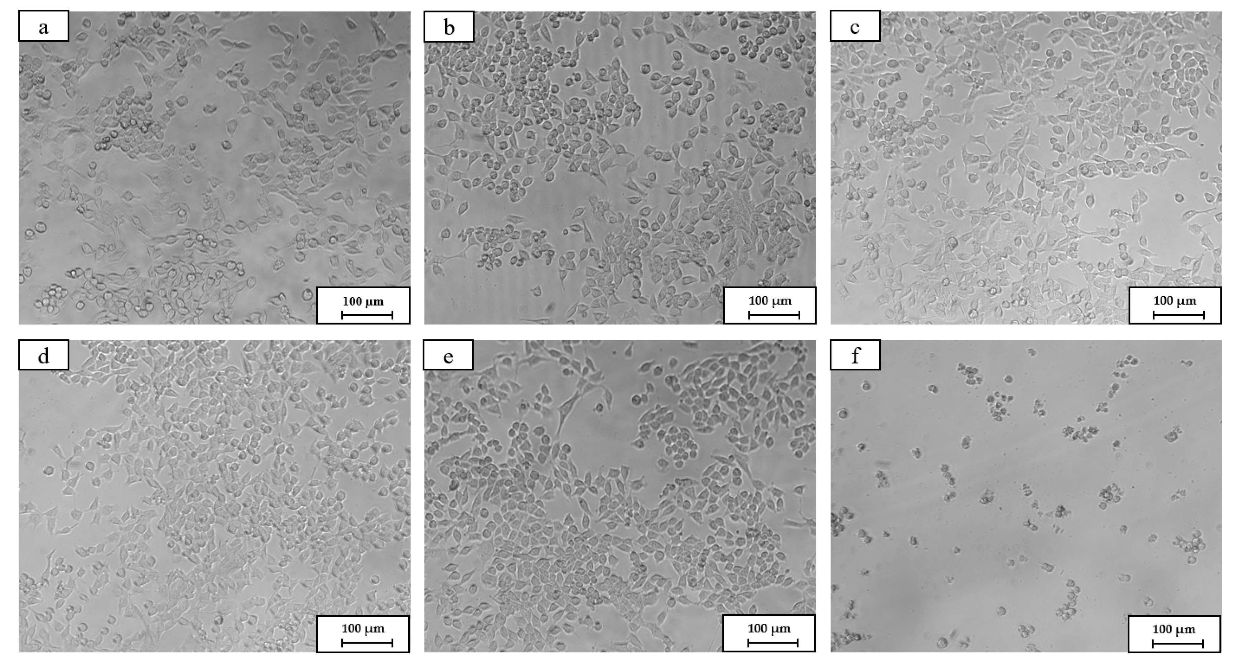 Metals 14 00655 g011