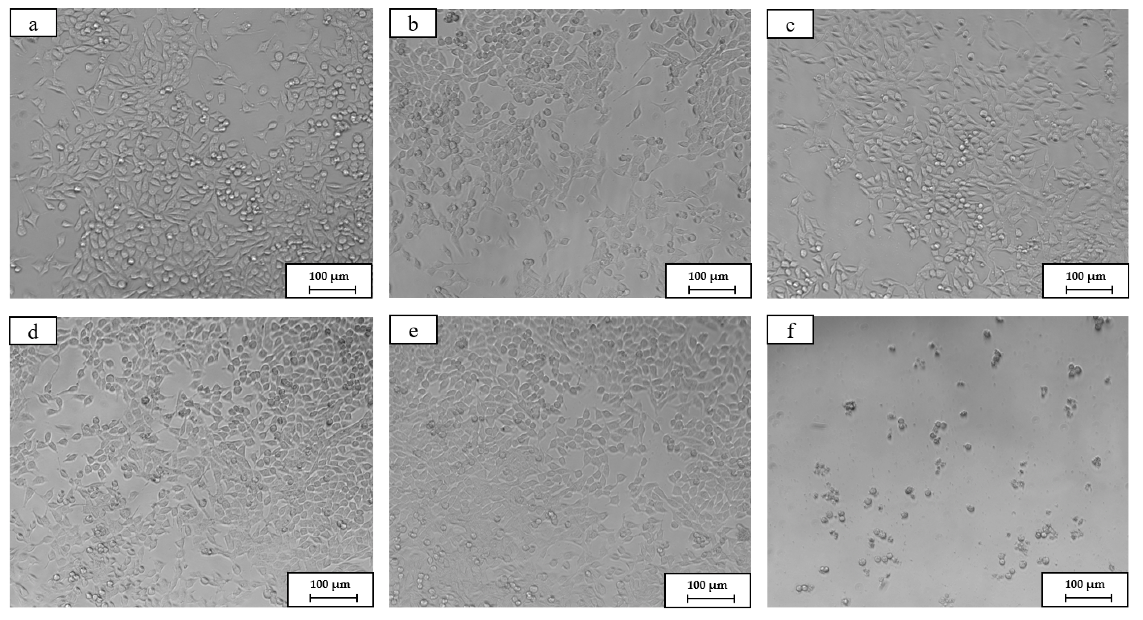 Metals 14 00655 g012