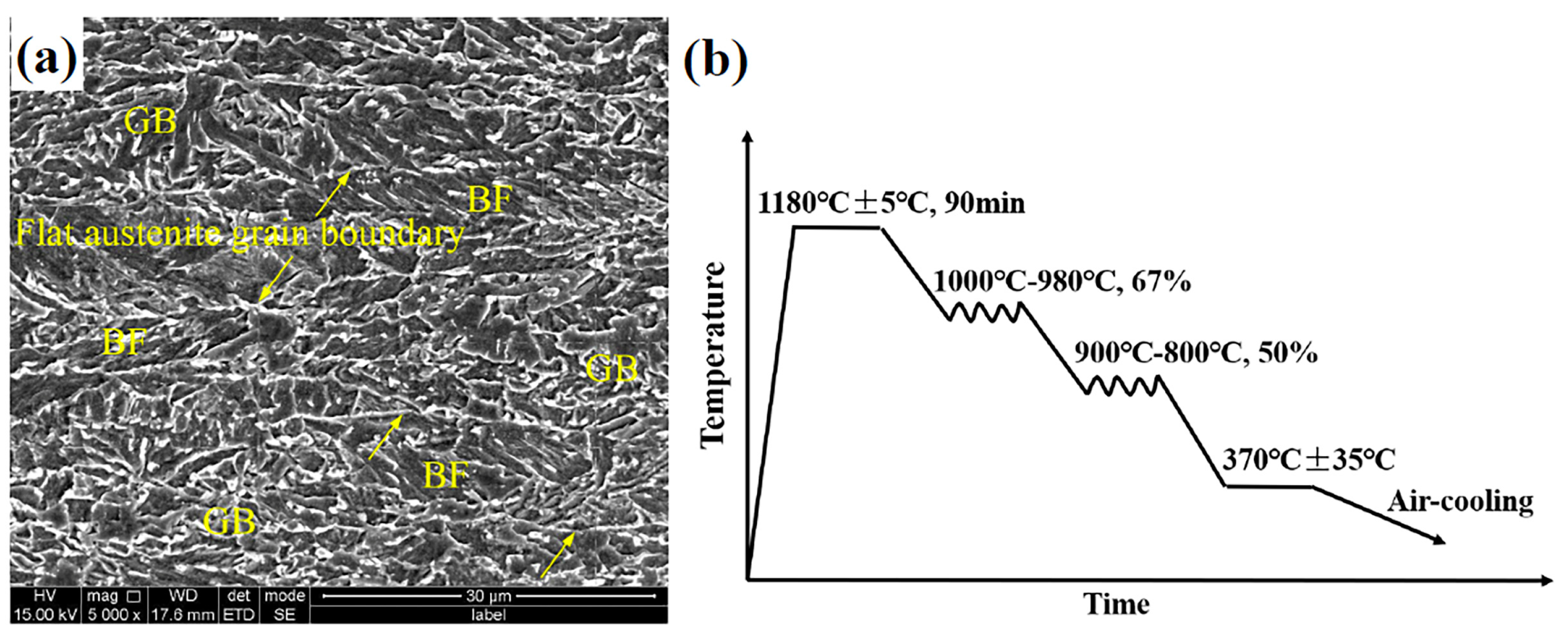 Metals 14 00666 g001