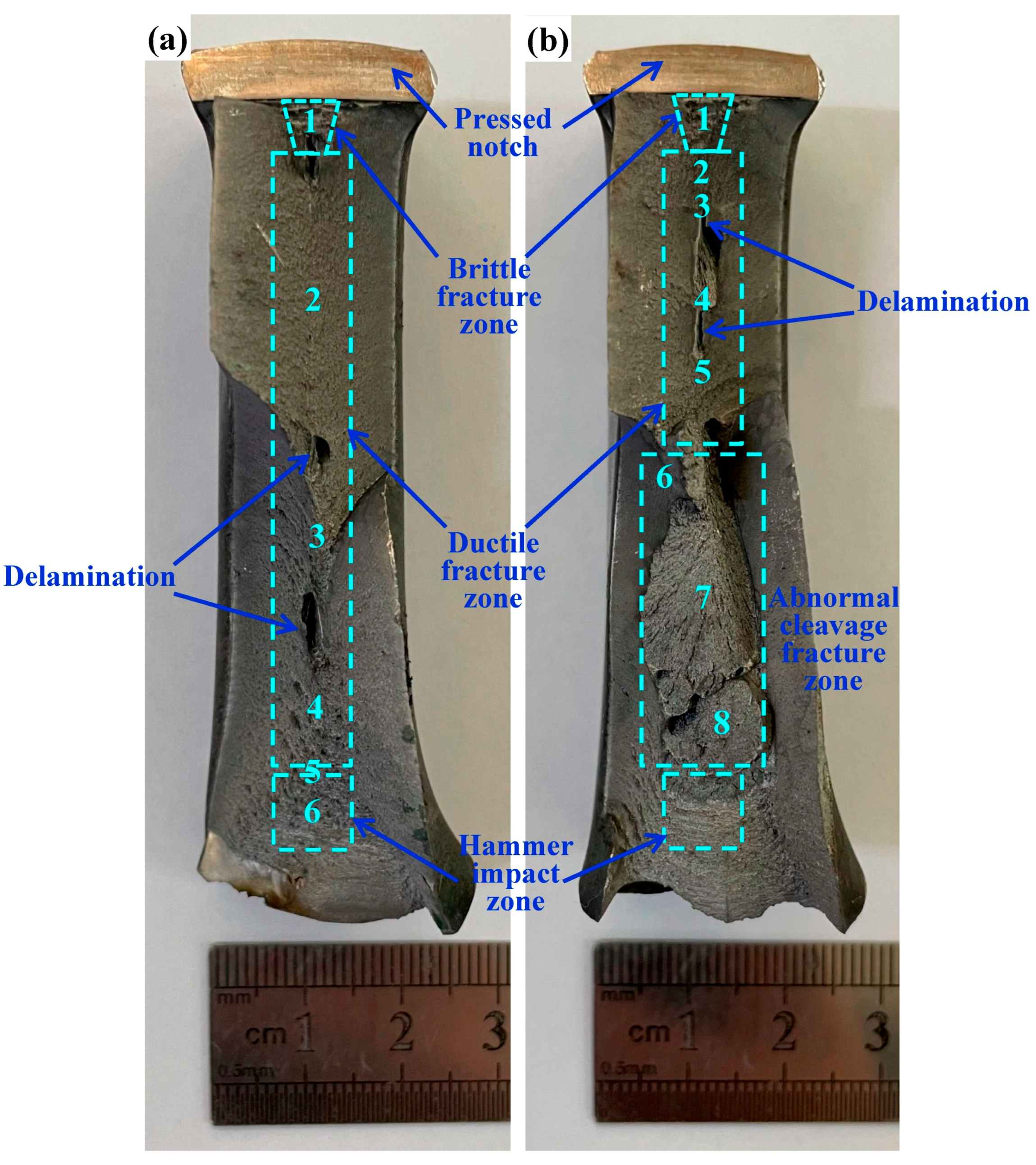 Metals 14 00666 g005