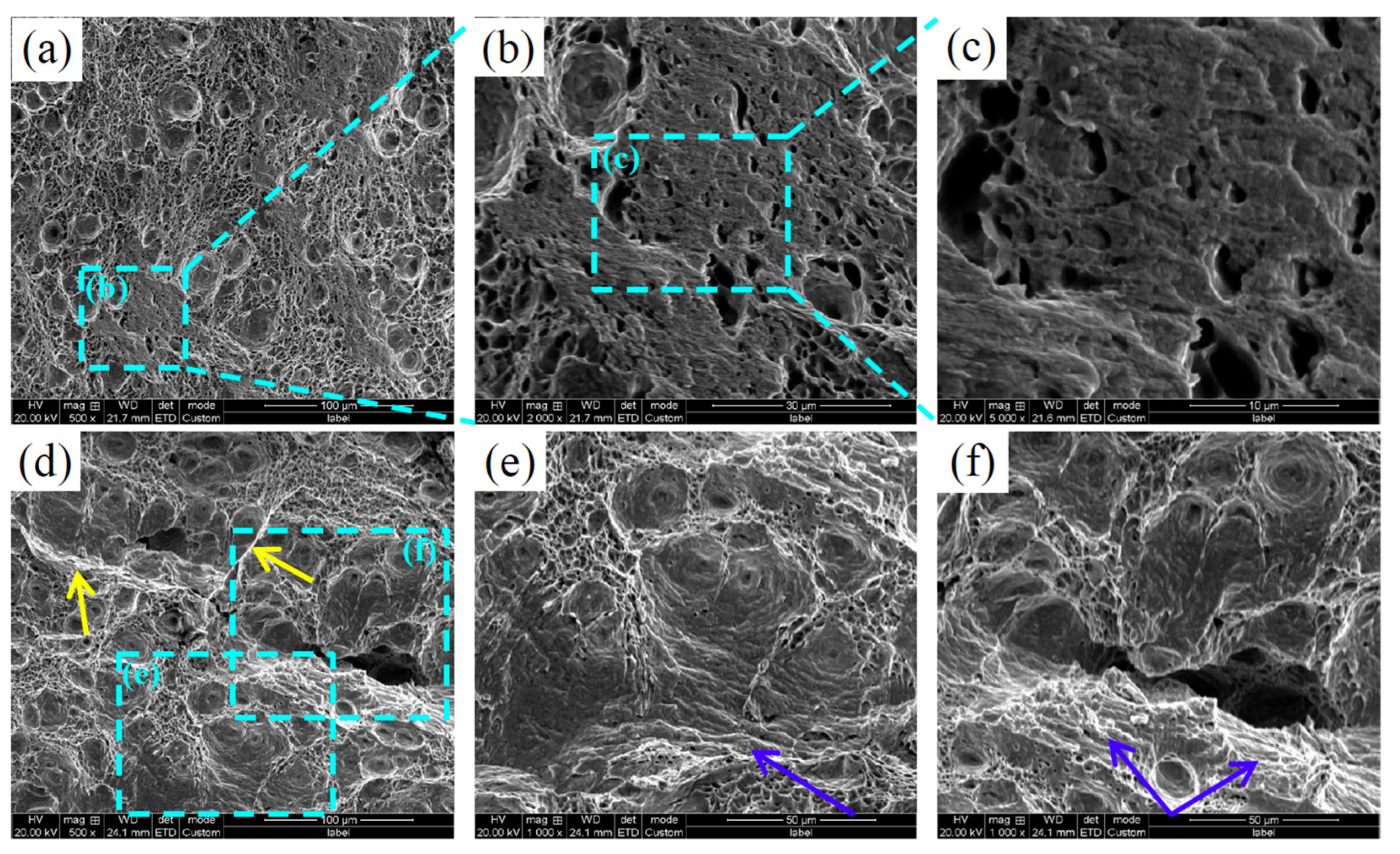 Metals 14 00666 g006