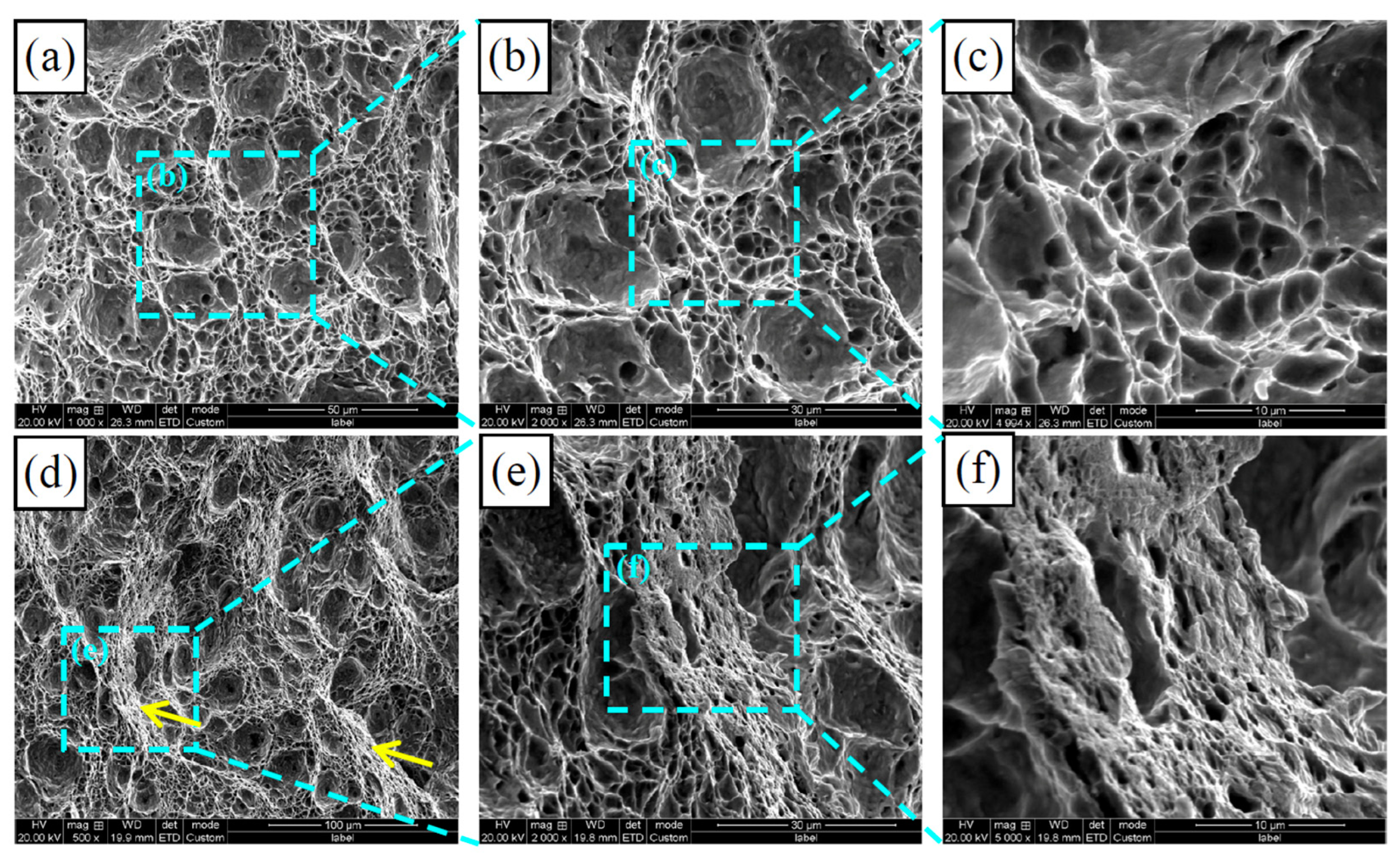 Metals 14 00666 g007