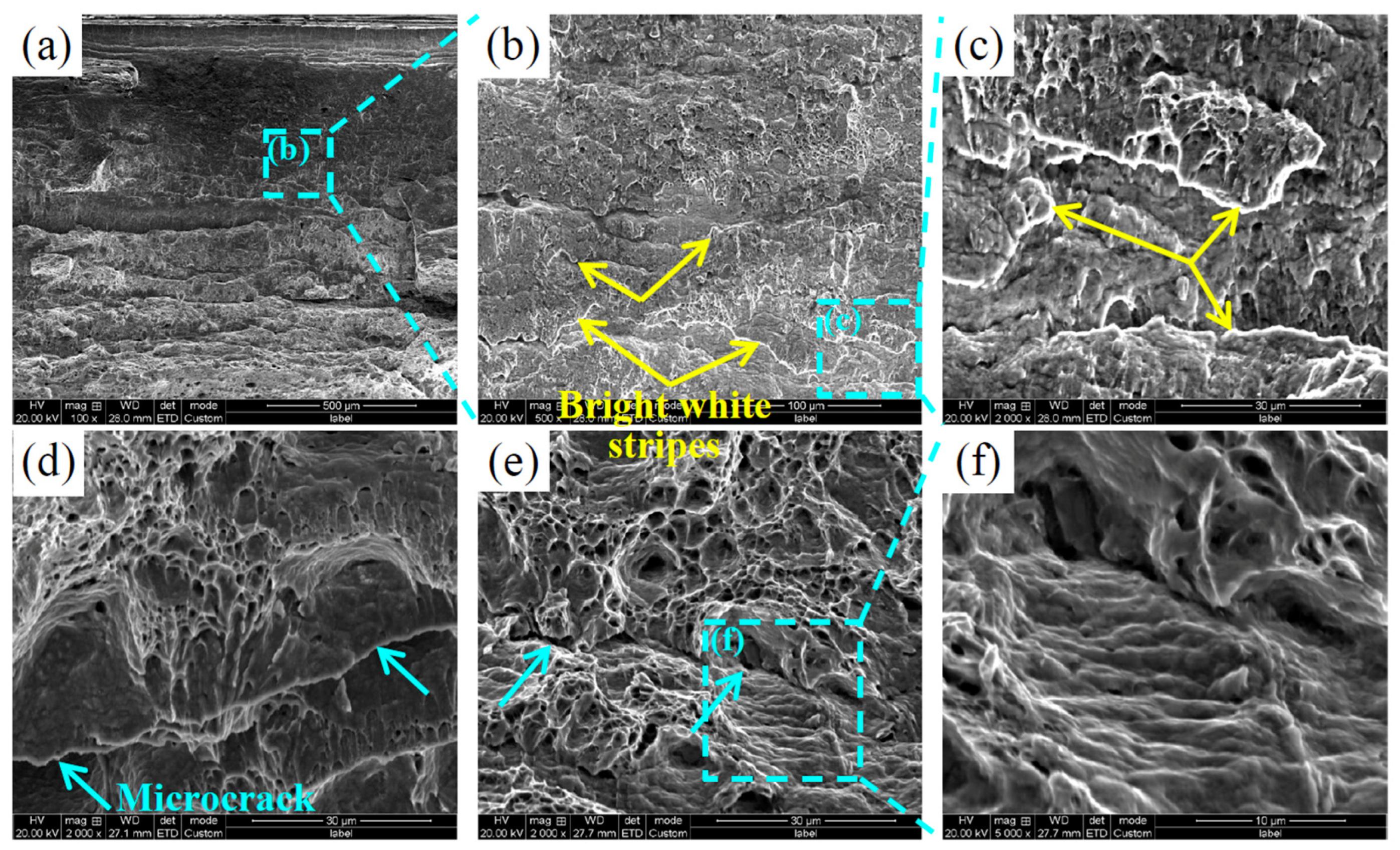 Metals 14 00666 g012