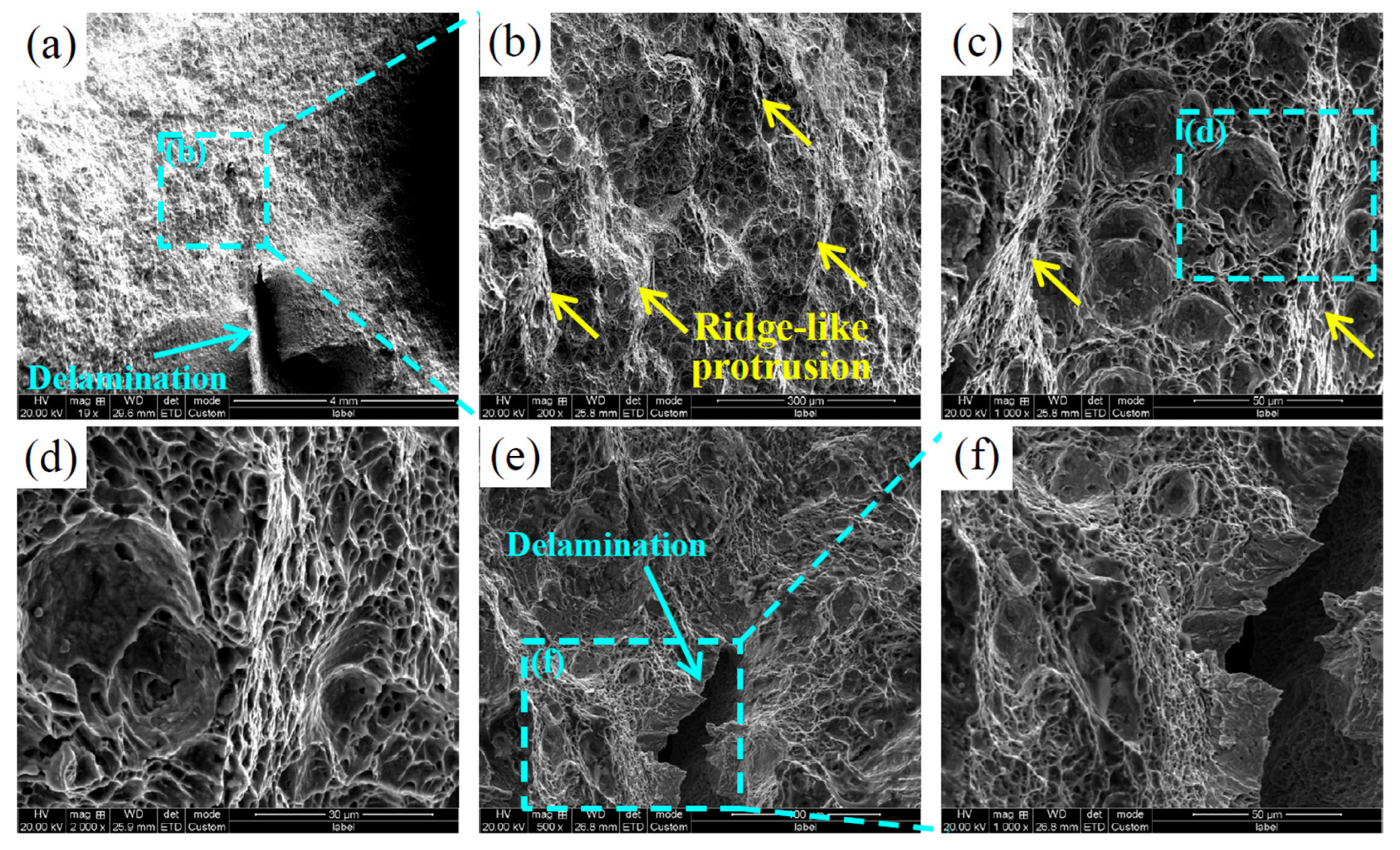 Metals 14 00666 g014