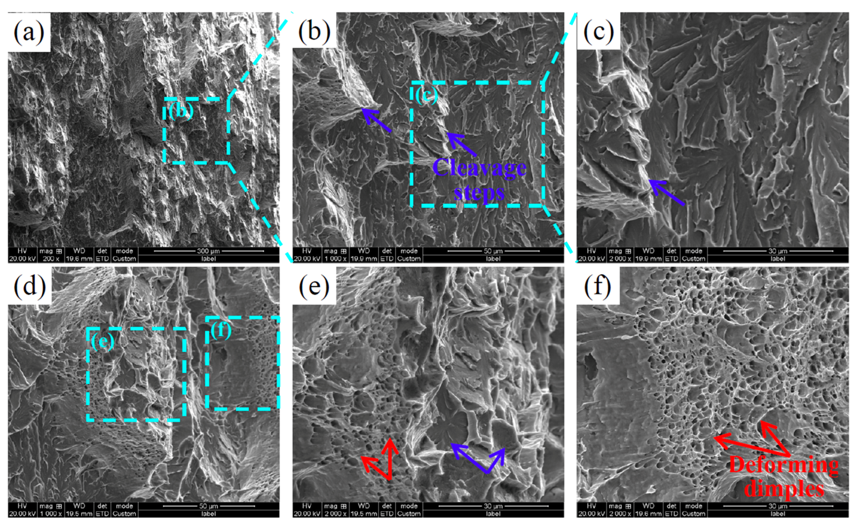 Metals 14 00666 g017