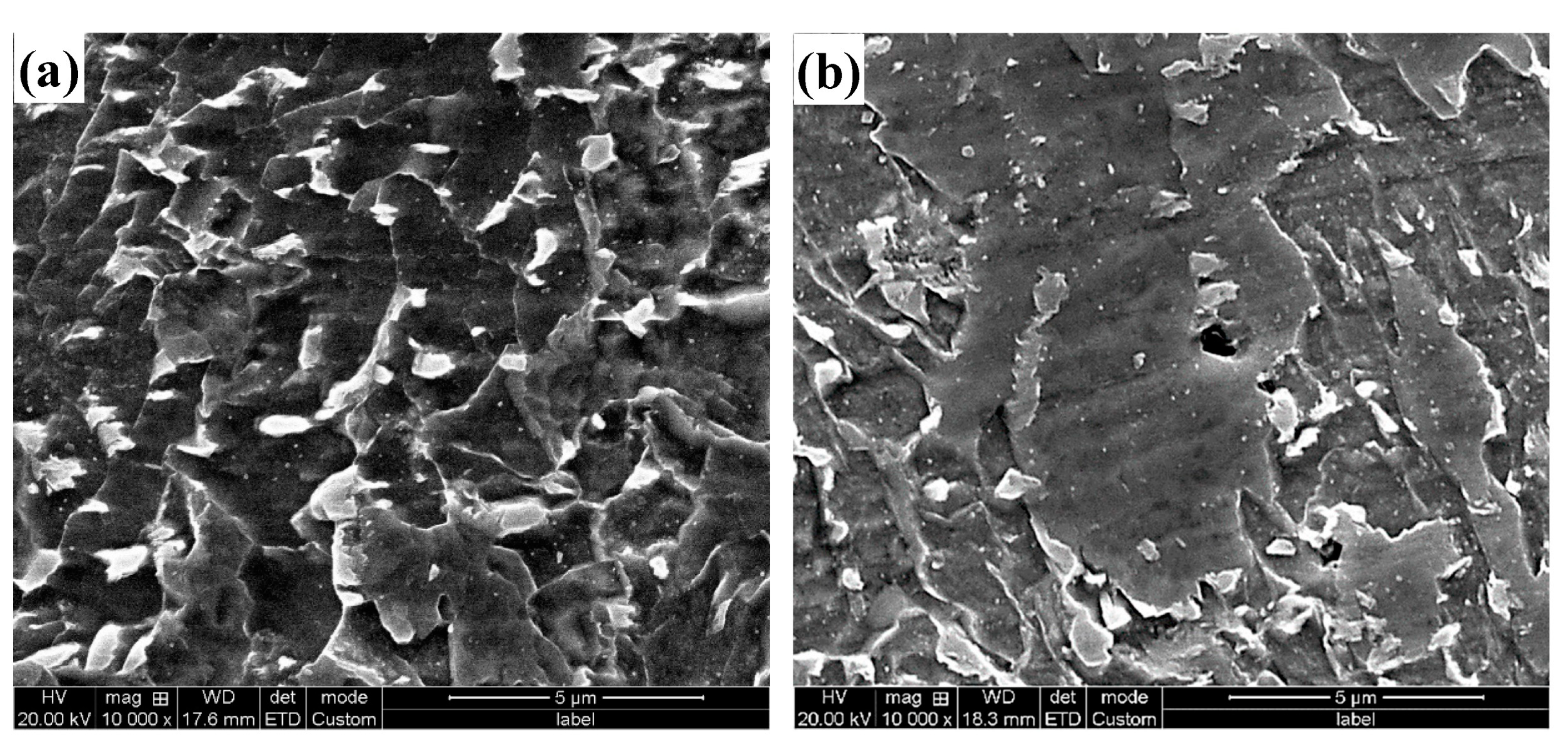 Metals 14 00666 g022