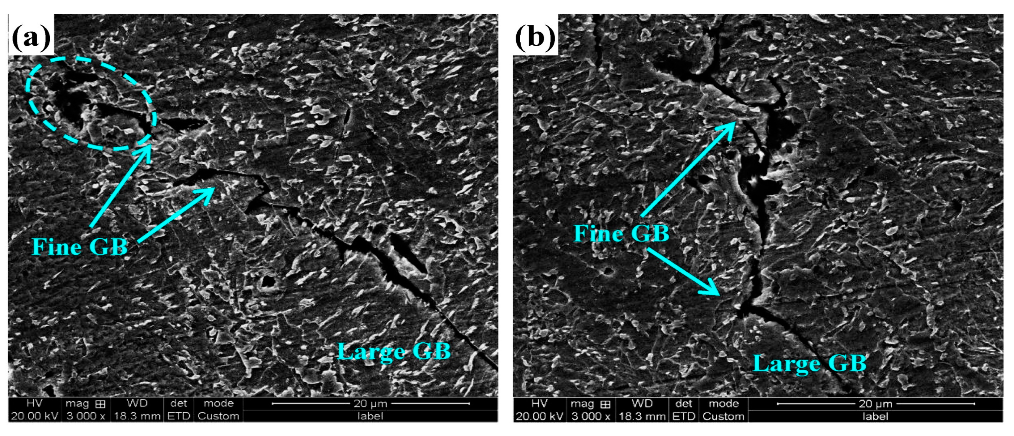 Metals 14 00666 g024