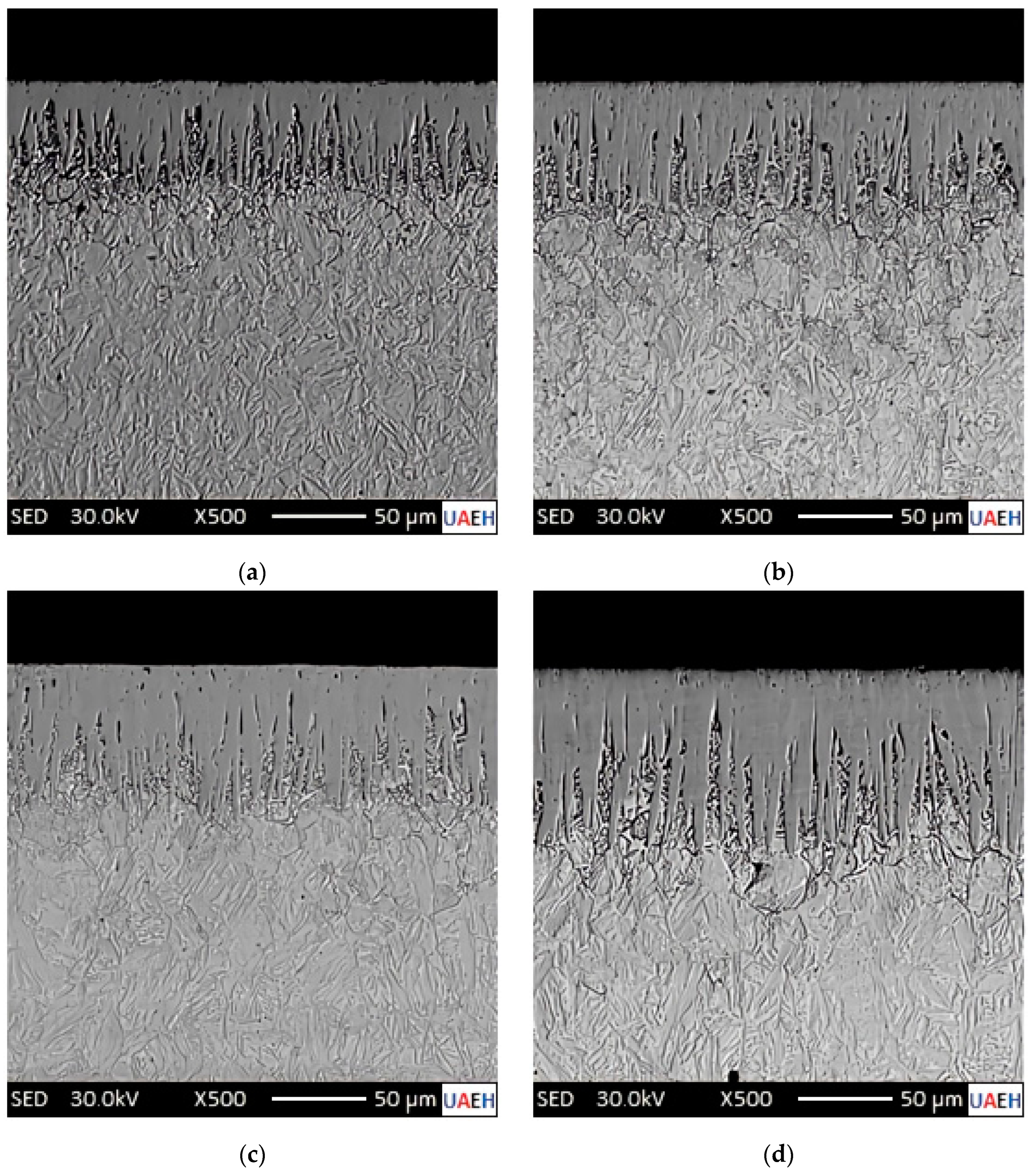Metals 14 00670 g009