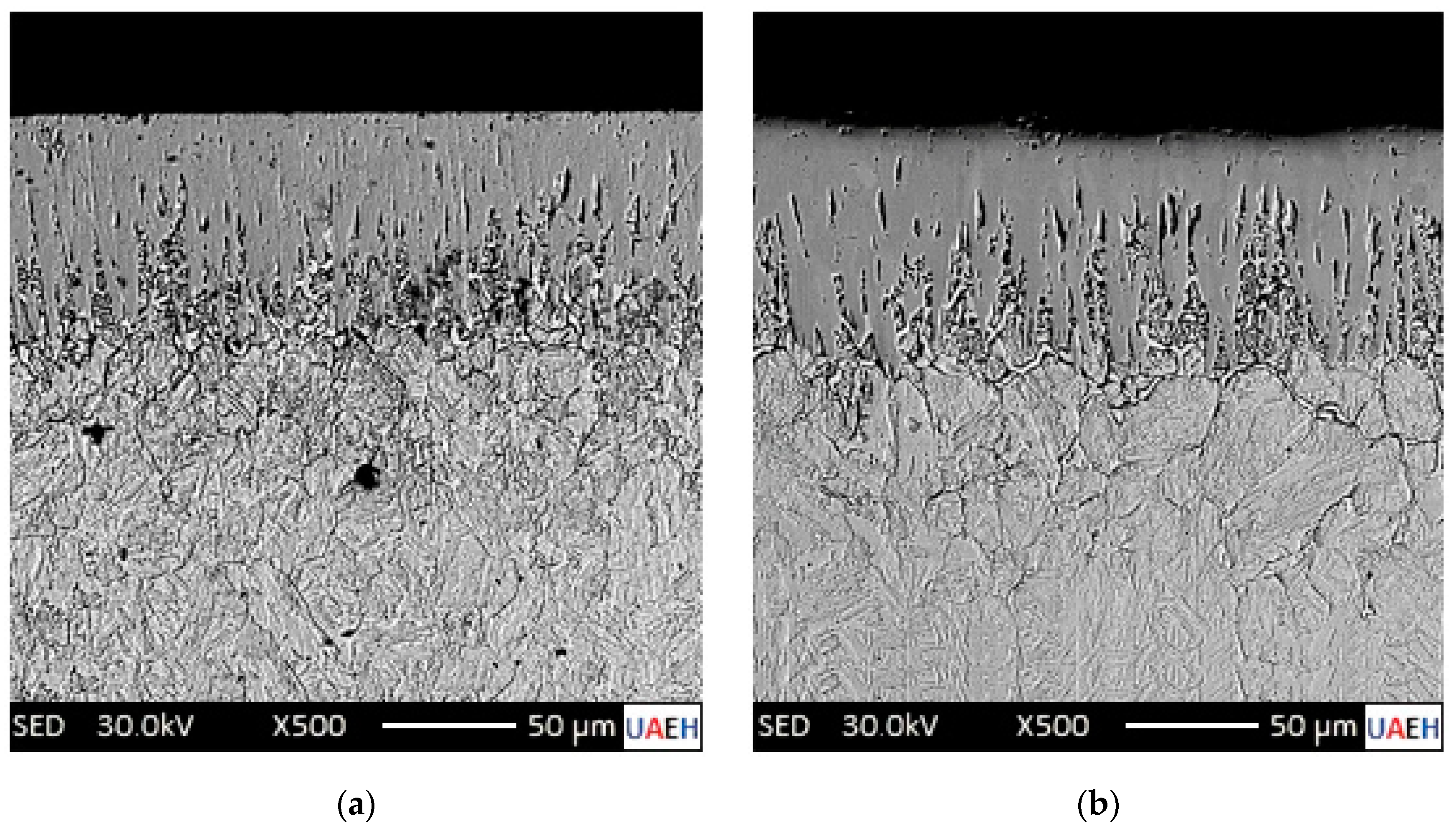 Metals 14 00670 g016
