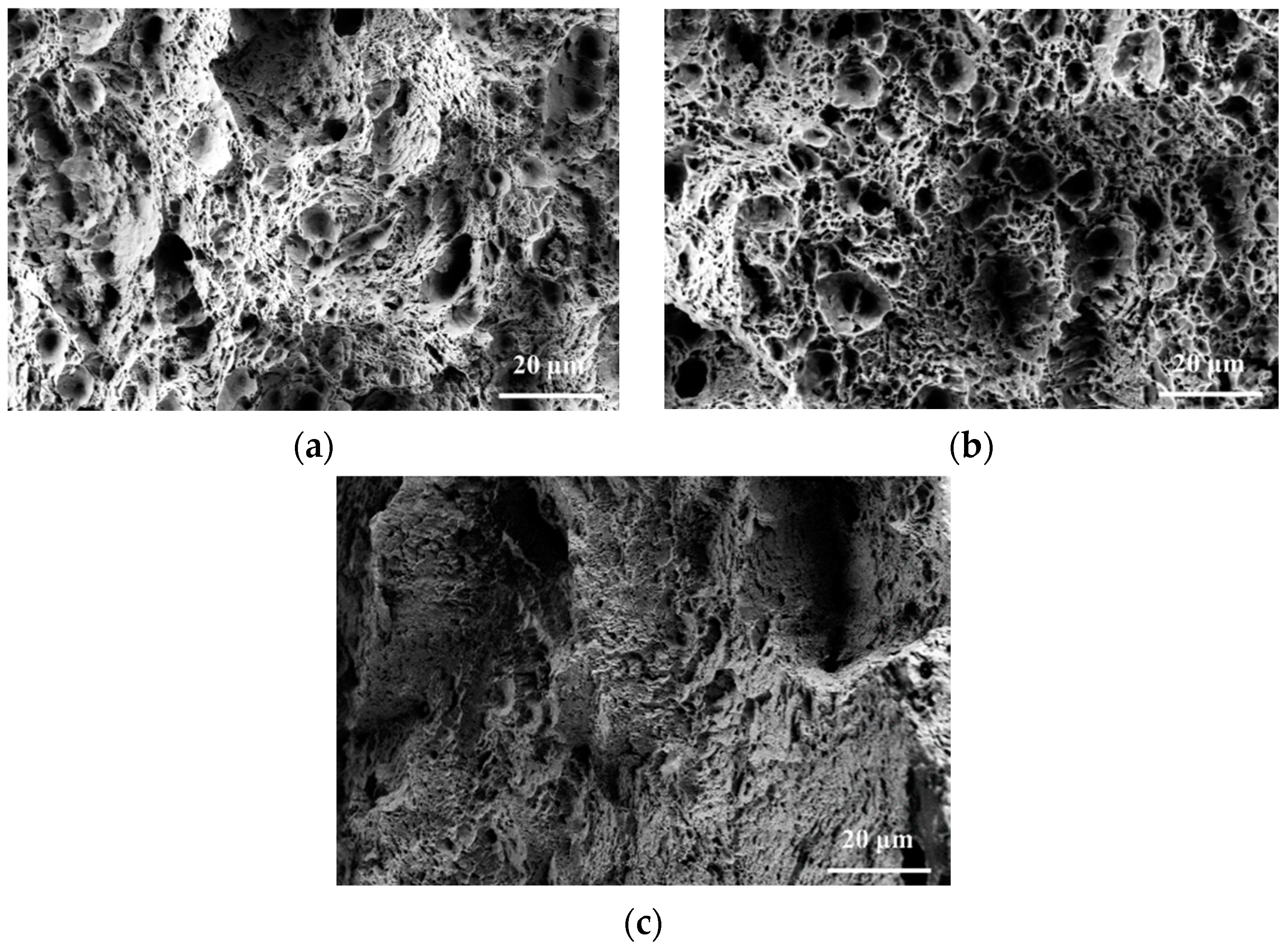 Metals 14 00675 g010