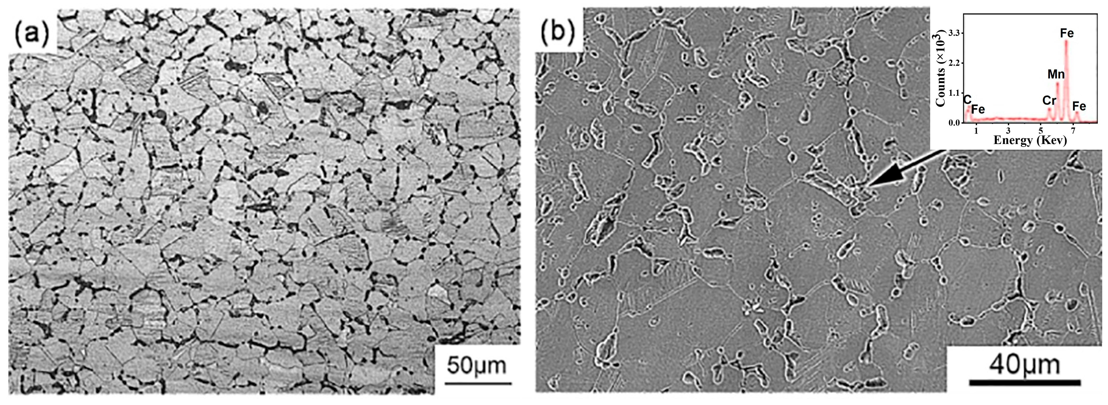 Metals 14 00677 g001 Metals 14 00677 g001