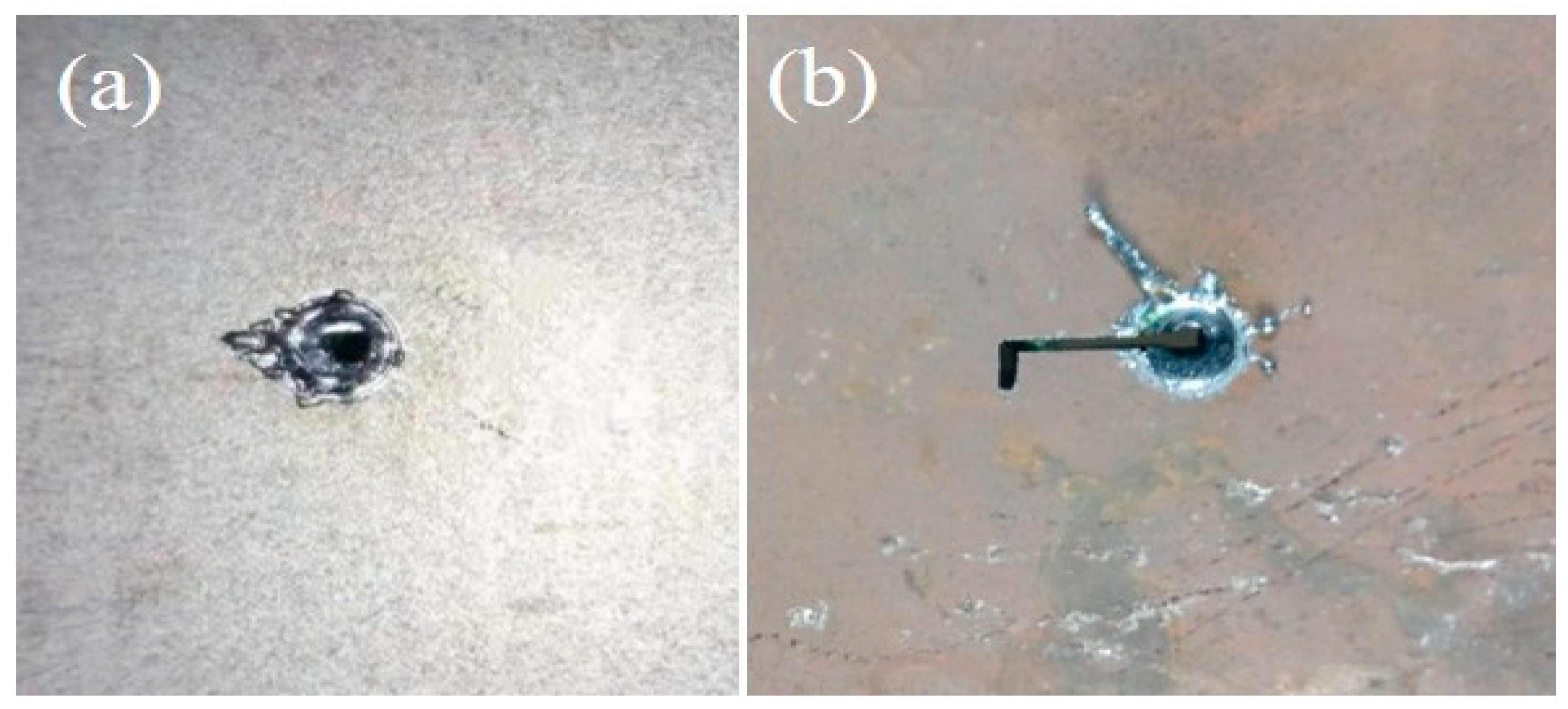 Metals 14 00682 g002