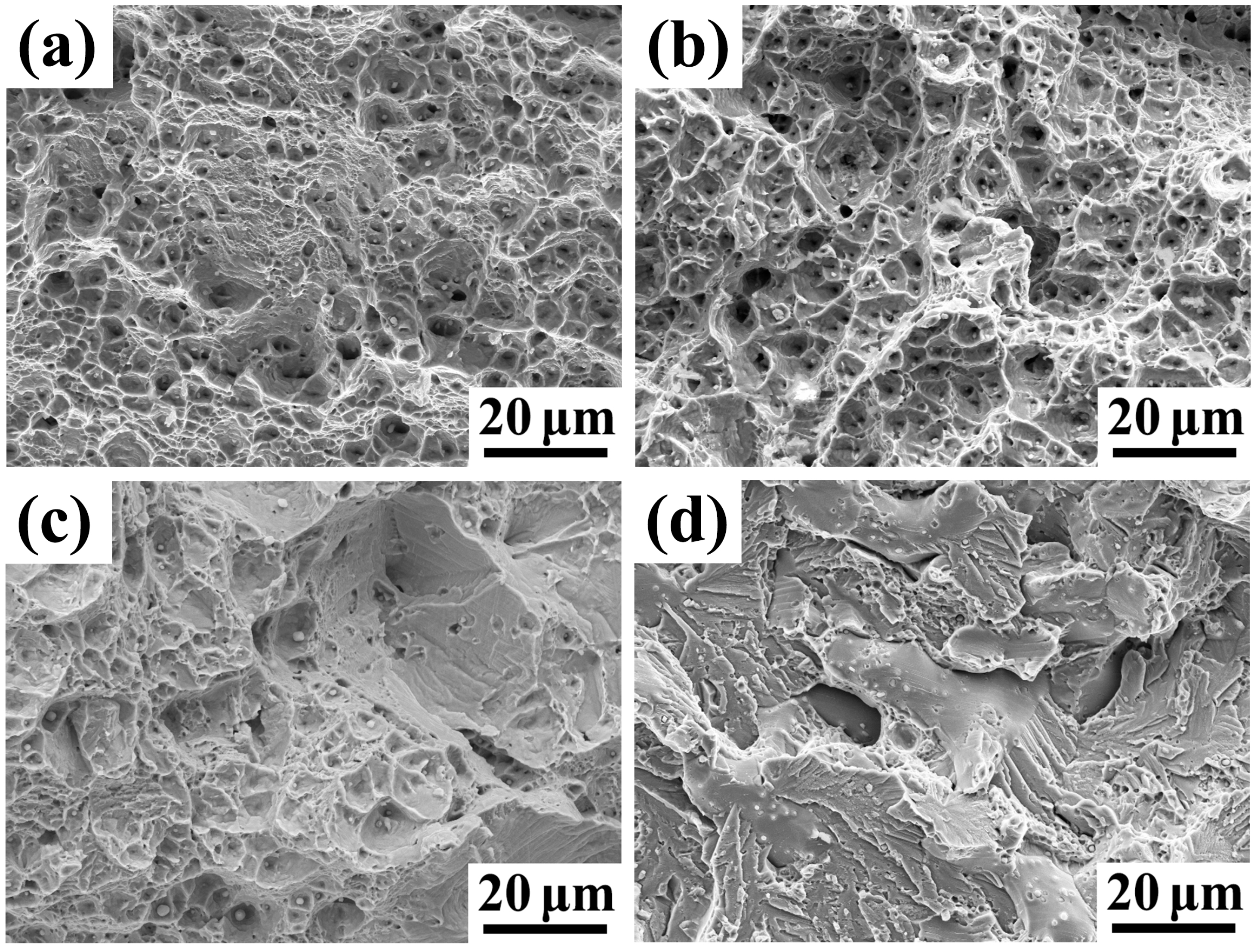 Metals 14 00687 g005