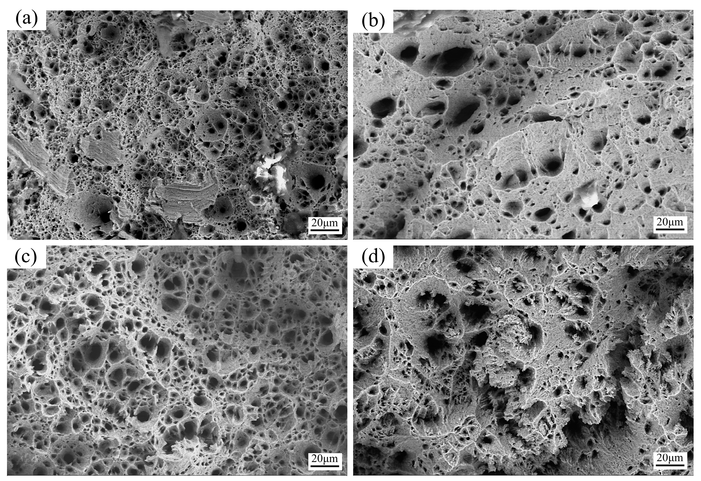 Metals 14 00689 g010