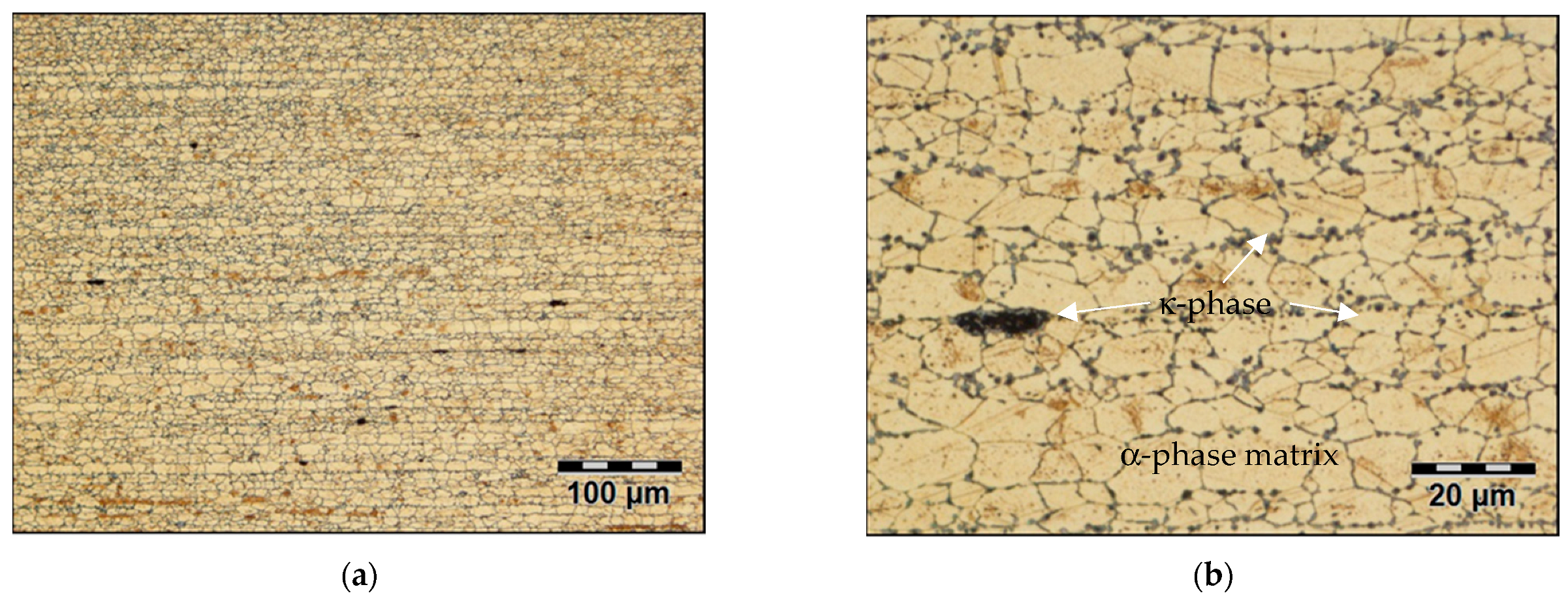 Metals 14 00697 g004