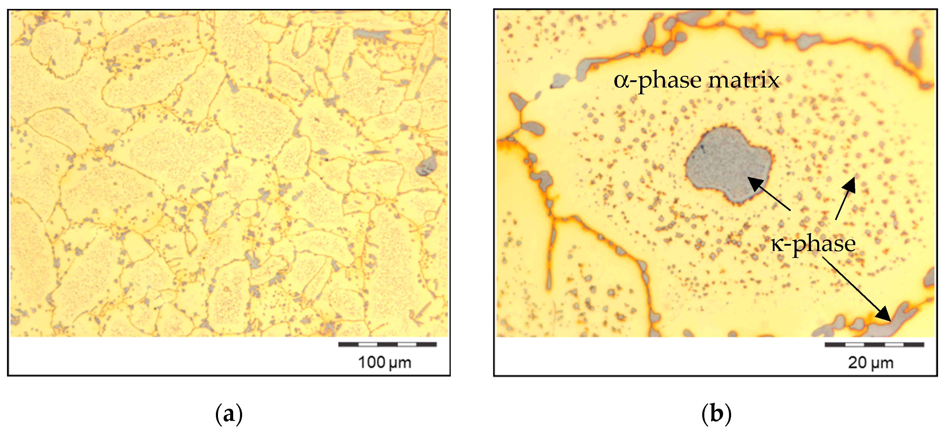 Metals 14 00697 g005