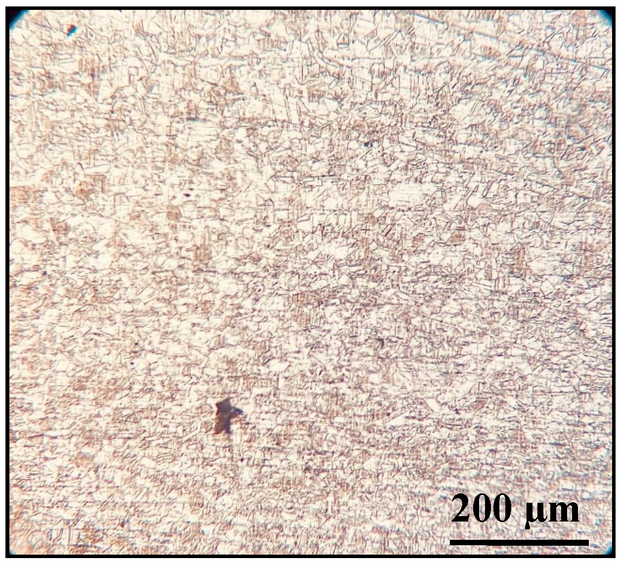 Metals 14 00706 g001 Metals 14 00706 g001