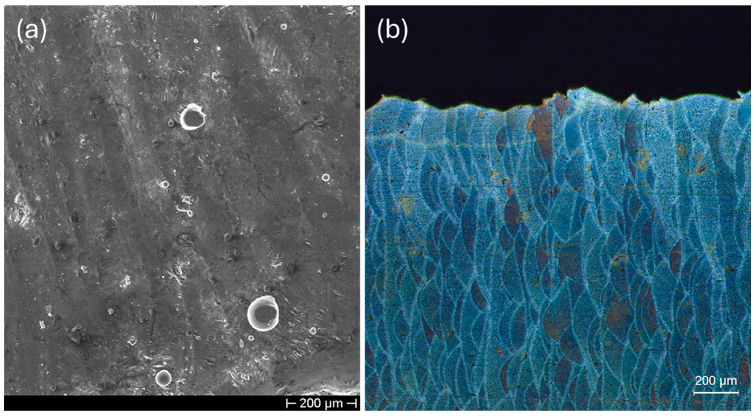 Metals 14 00711 g006