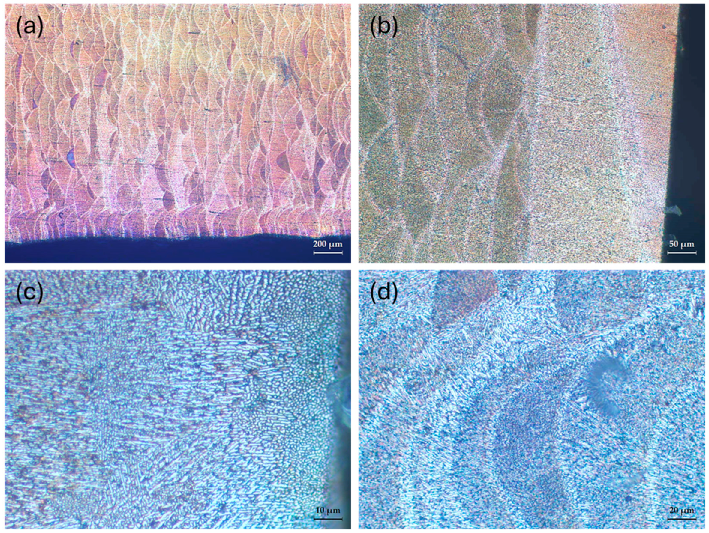 Metals 14 00711 g009