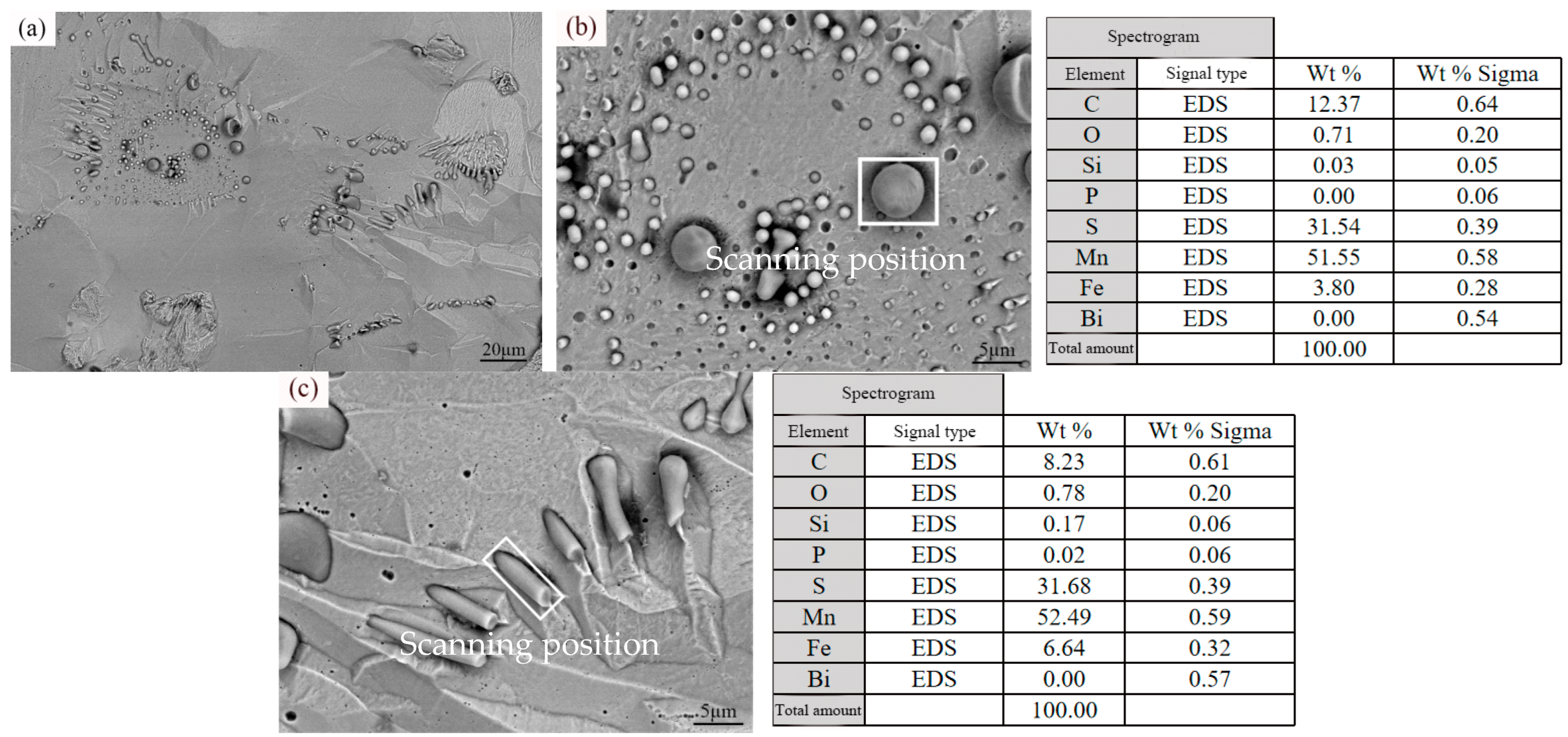 Metals 14 00713 g002
