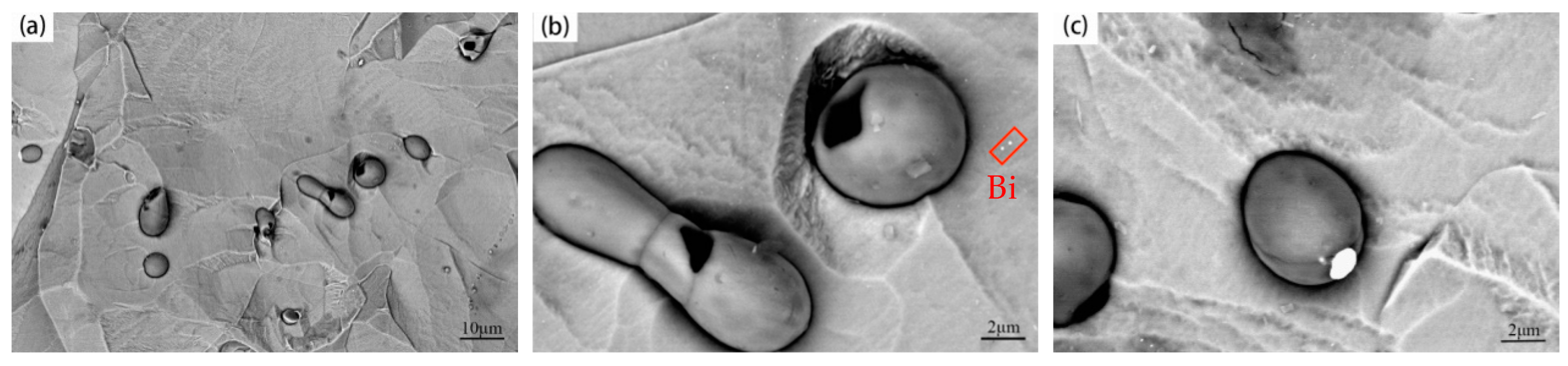 Metals 14 00713 g004