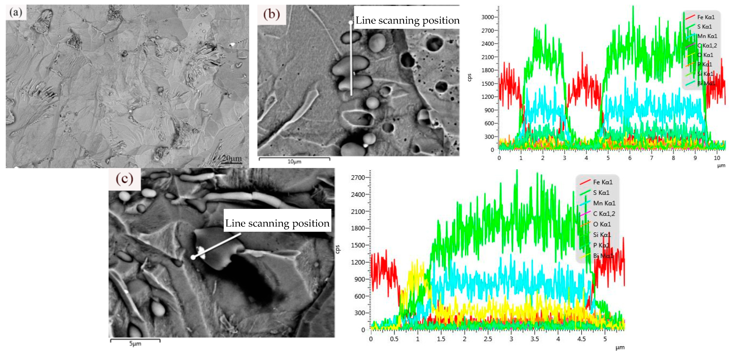 Metals 14 00713 g005