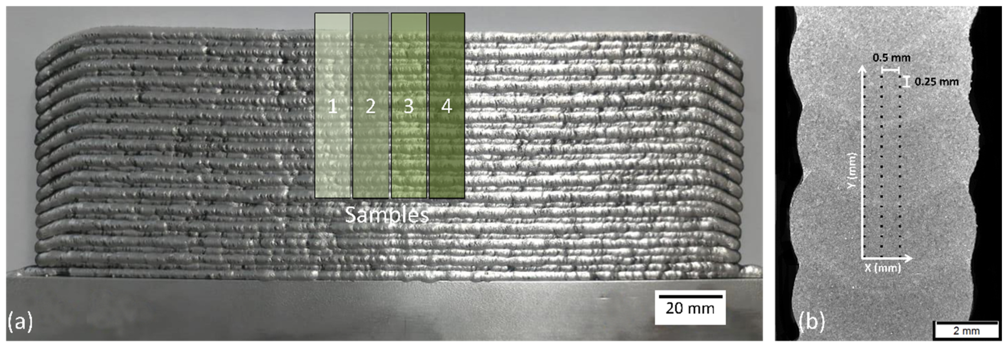Metals 14 00717 g007