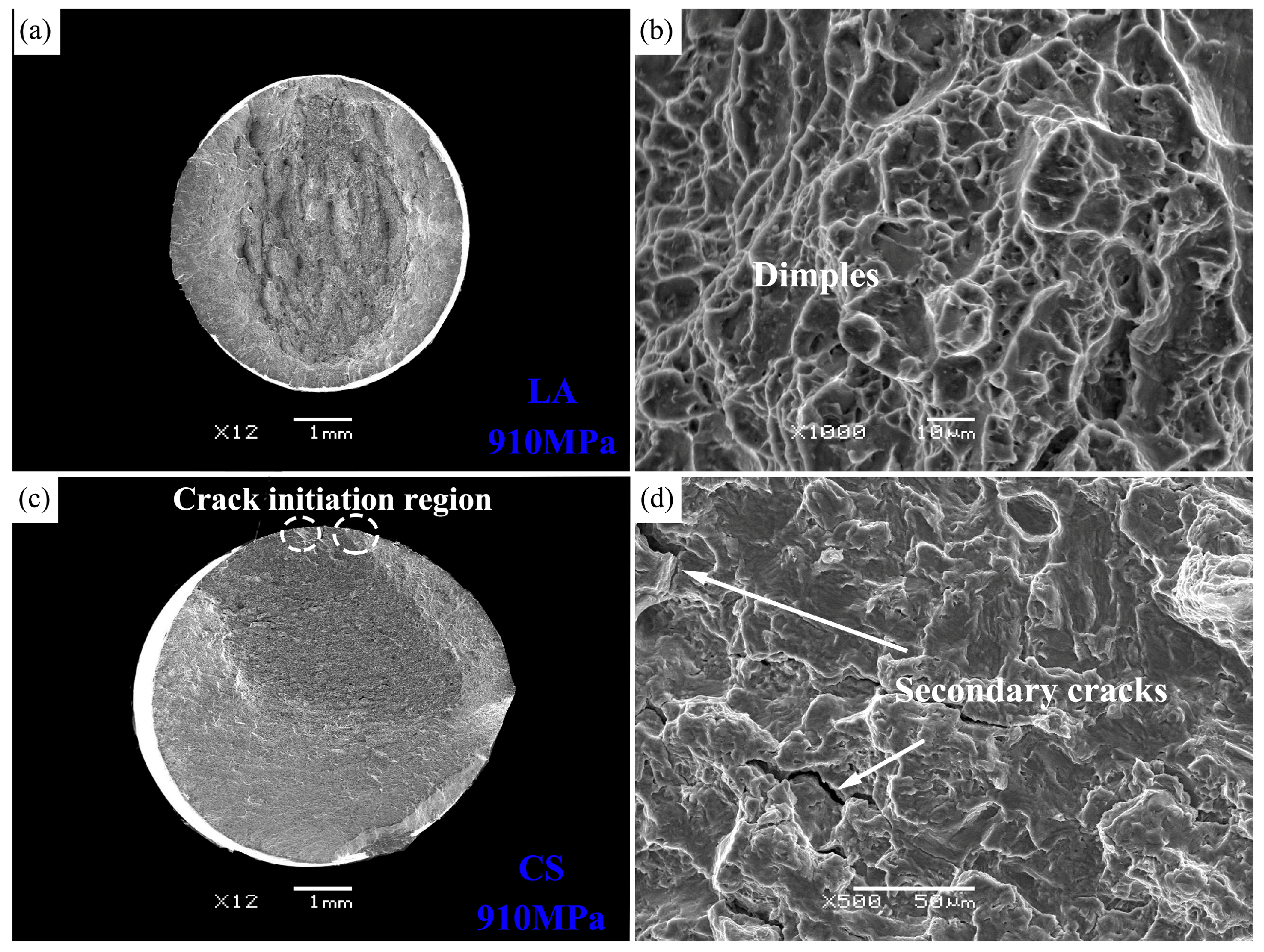 Metals 14 00720 g010