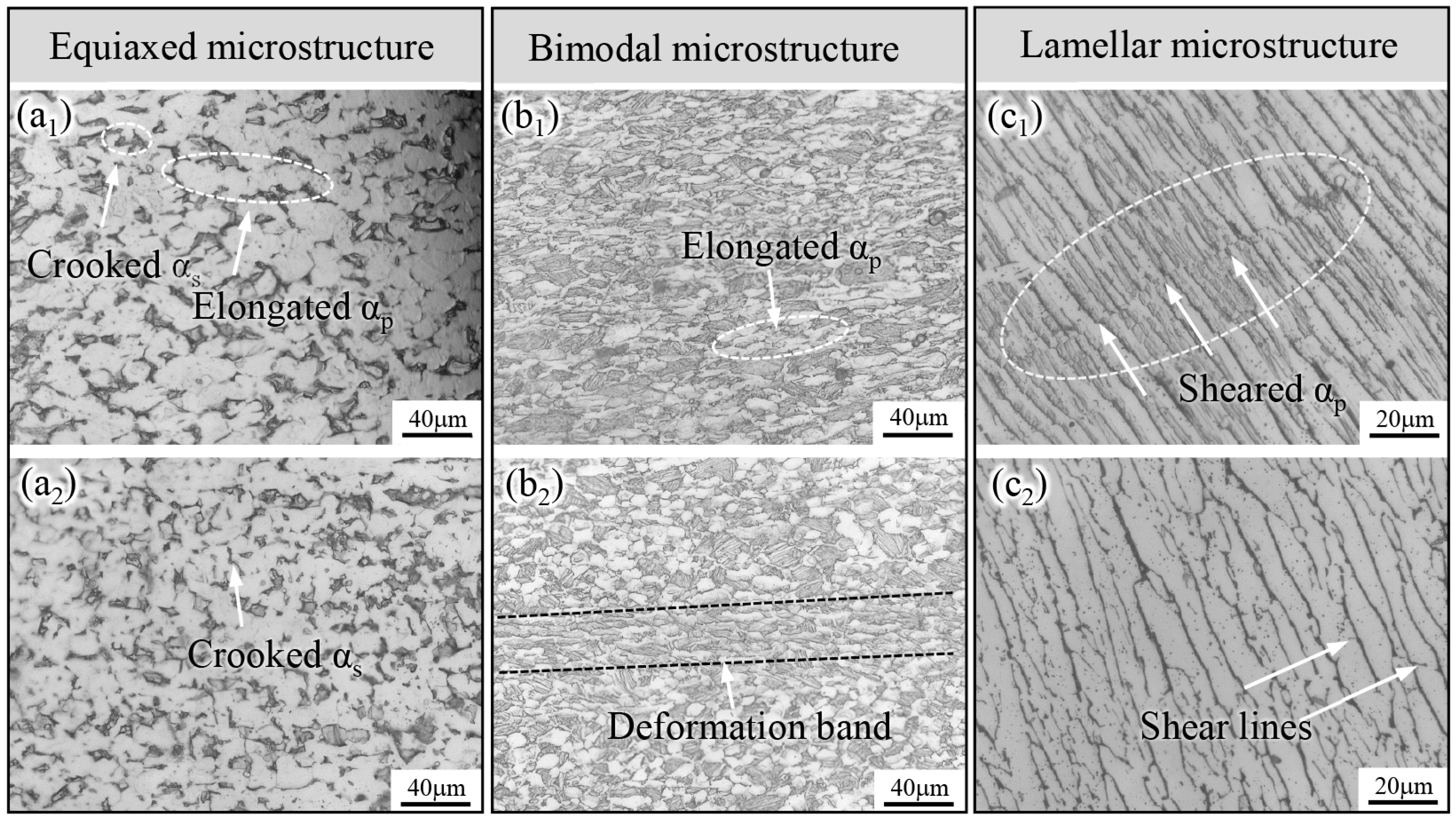 Metals 14 00722 g005 Metals 14 00722 g005