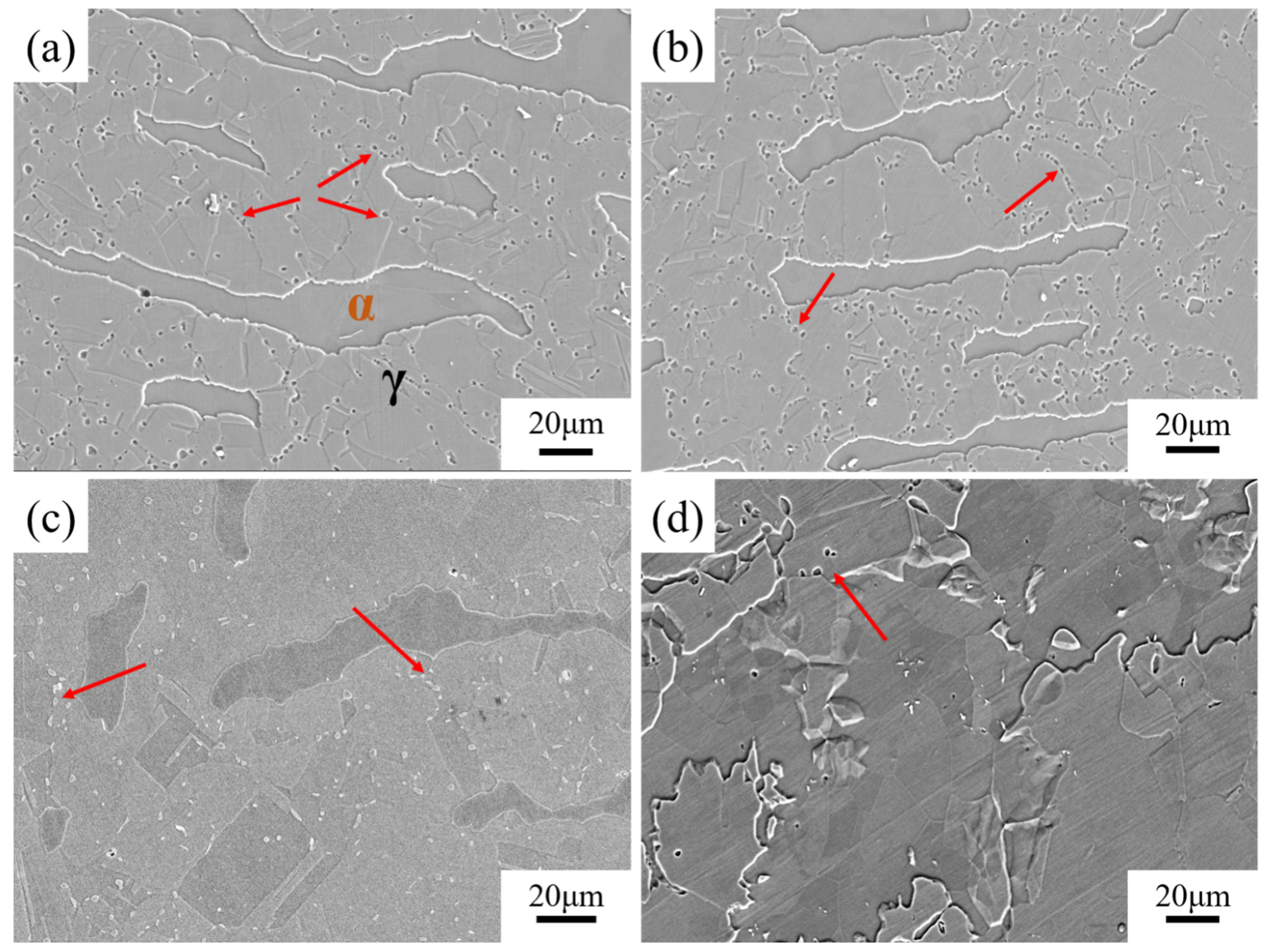 Metals 14 00724 g006