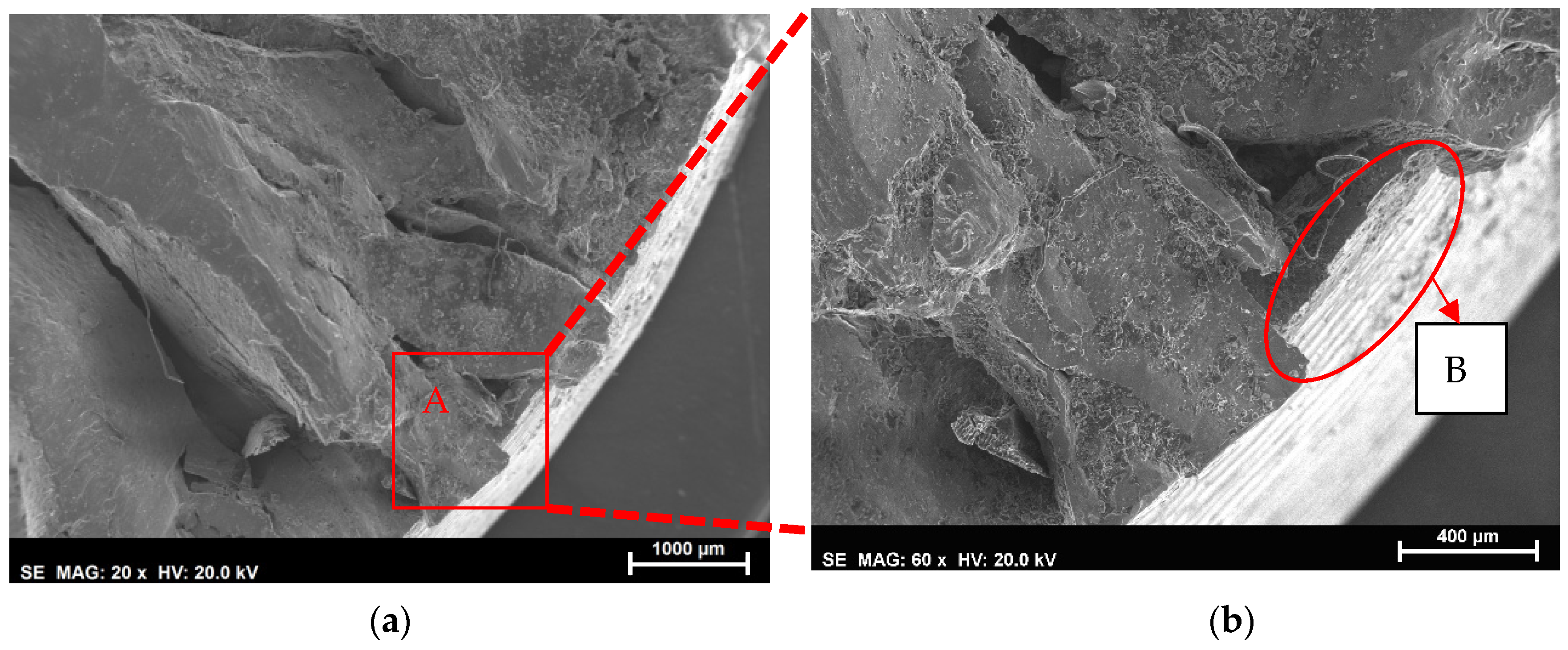 Metals 14 00727 g007