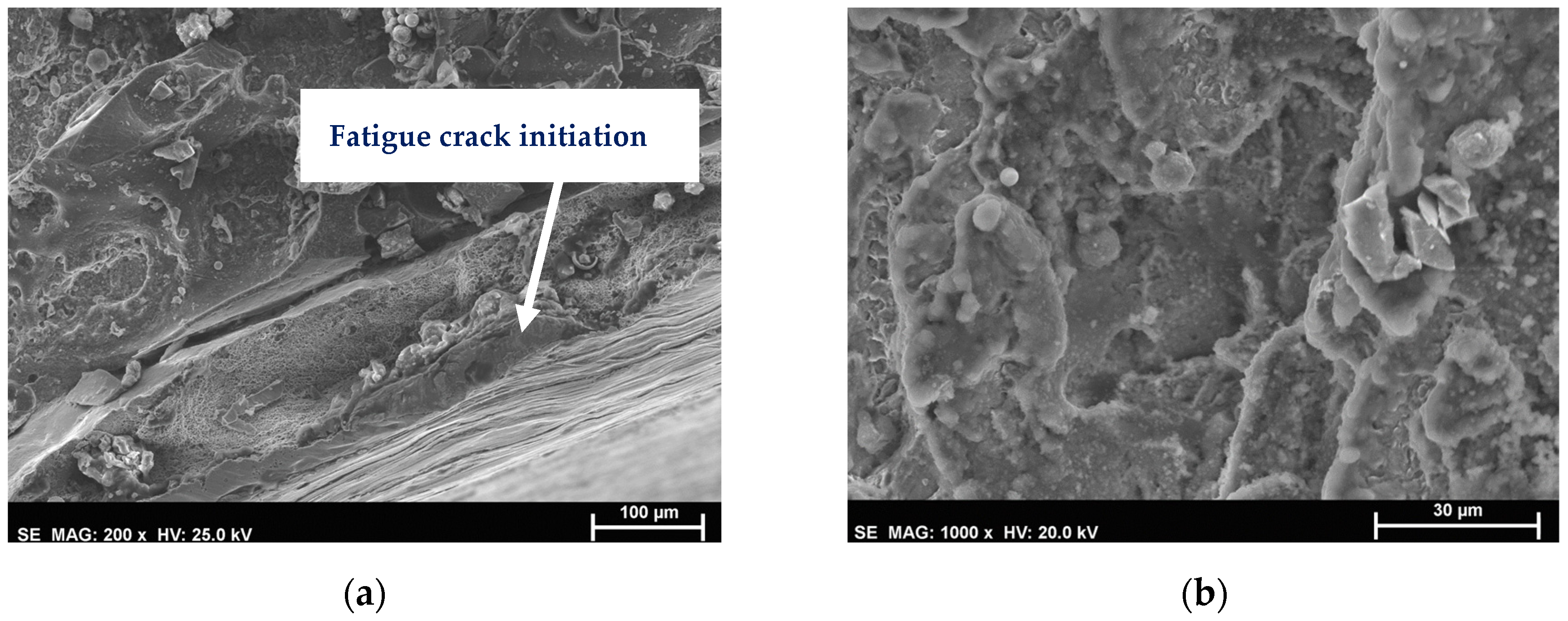 Metals 14 00727 g009