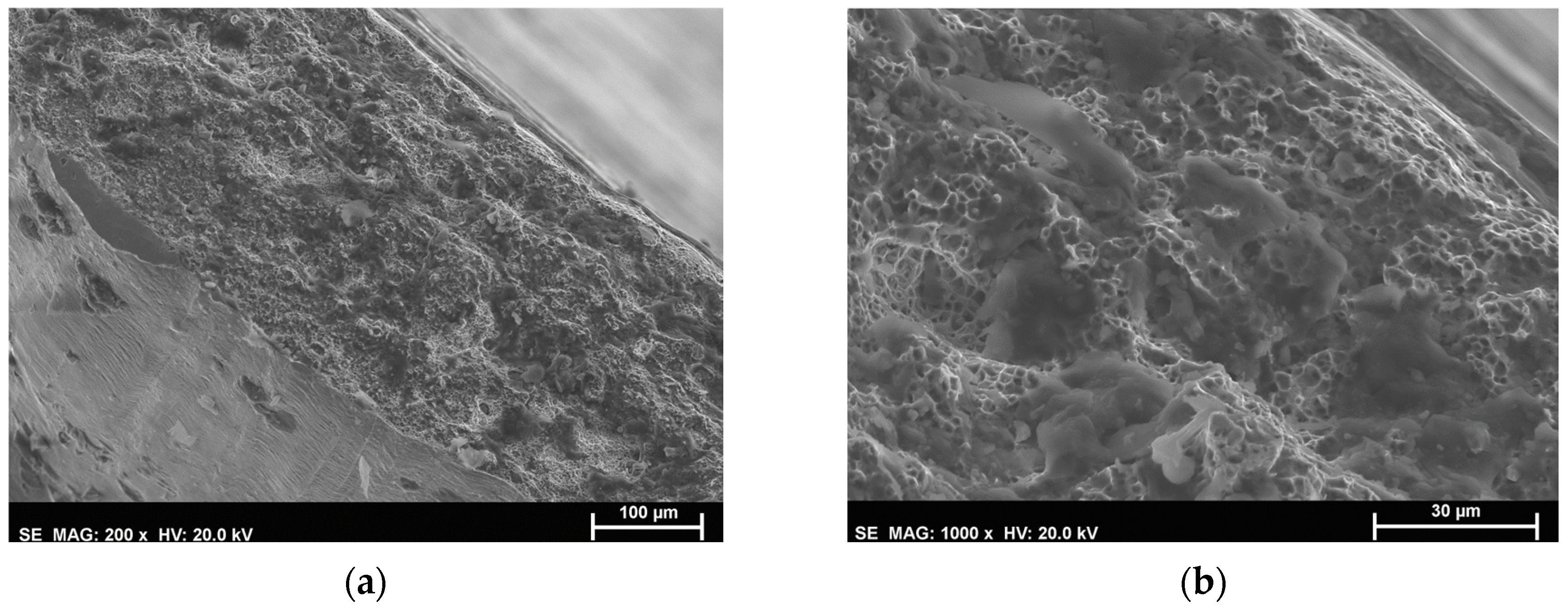 Metals 14 00727 g010