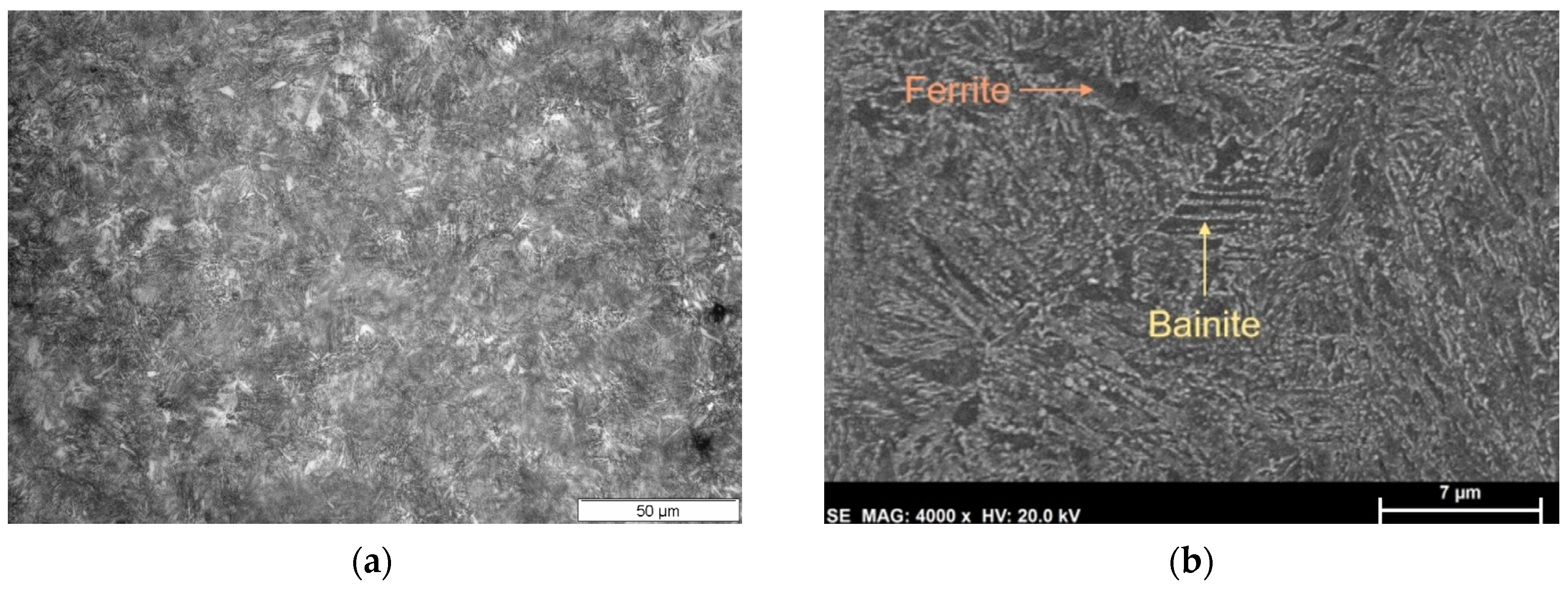 Metals 14 00727 g011