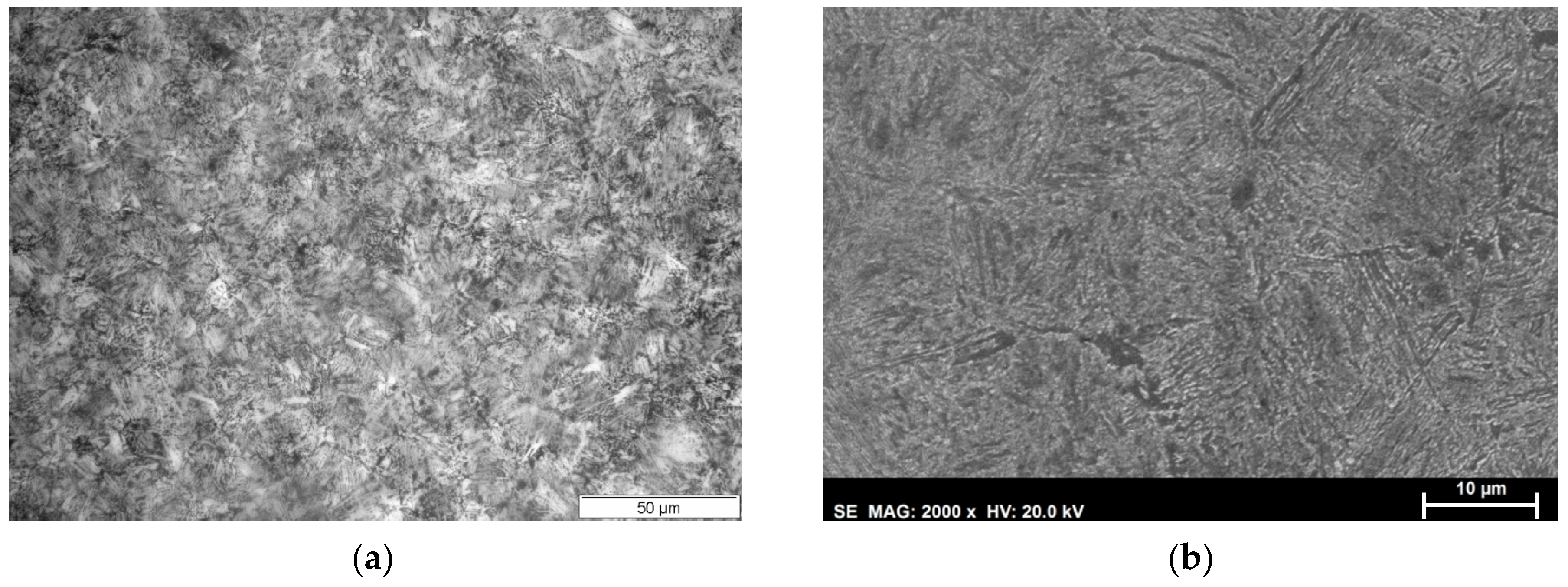 Metals 14 00727 g012